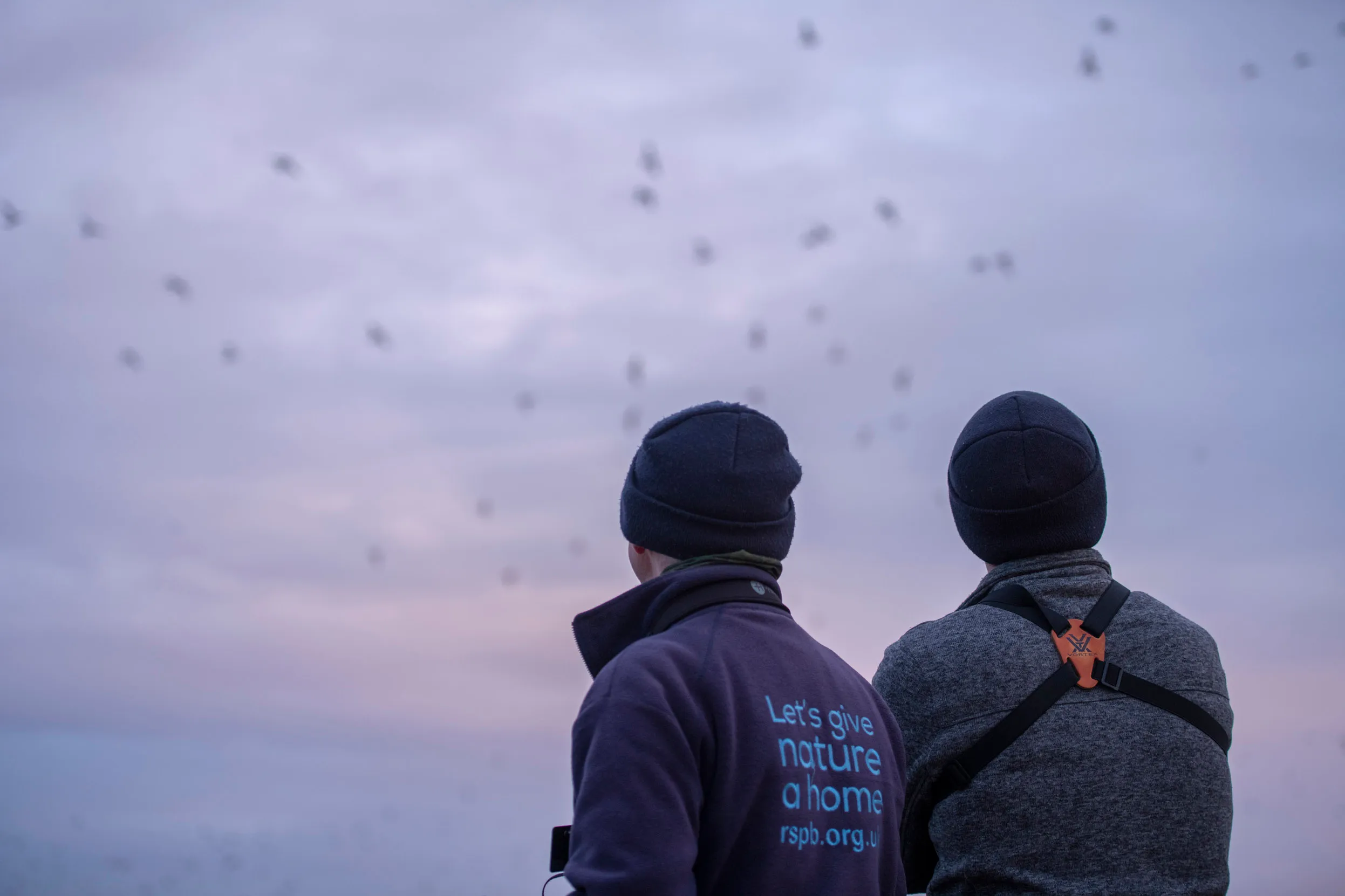A volunteer and RSPB Ambassador watching waders at sunrise.