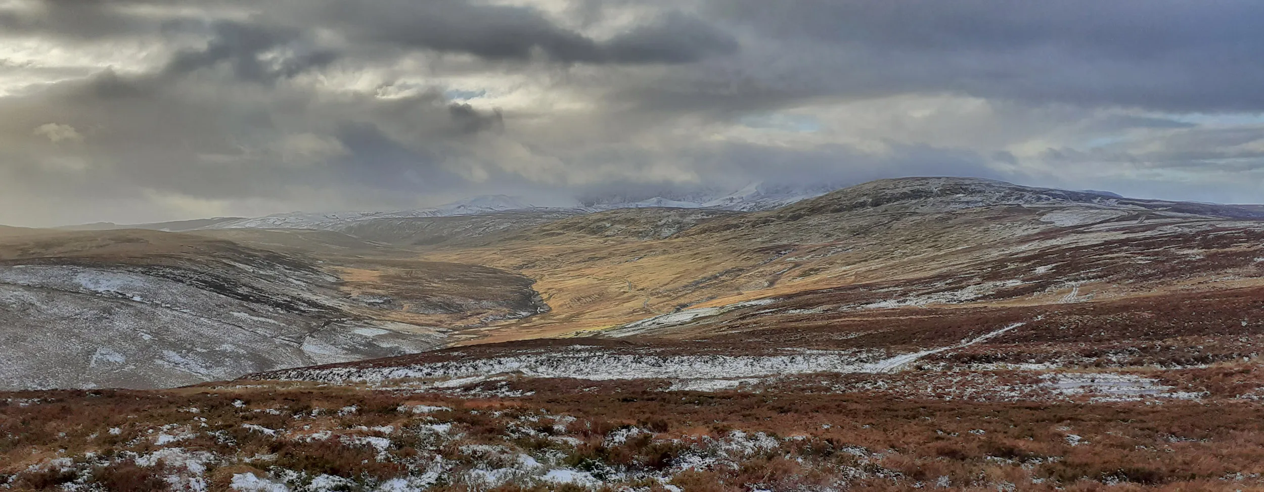 A view across snowy heathland