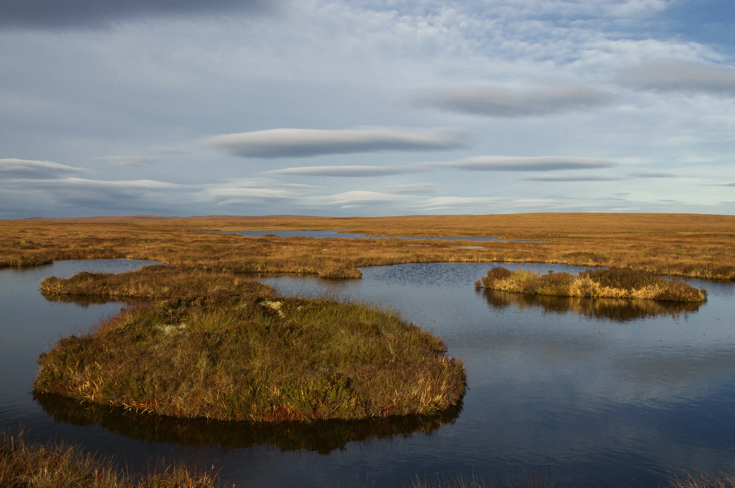 Peat islands sit in a large pool system, surrounded by water.