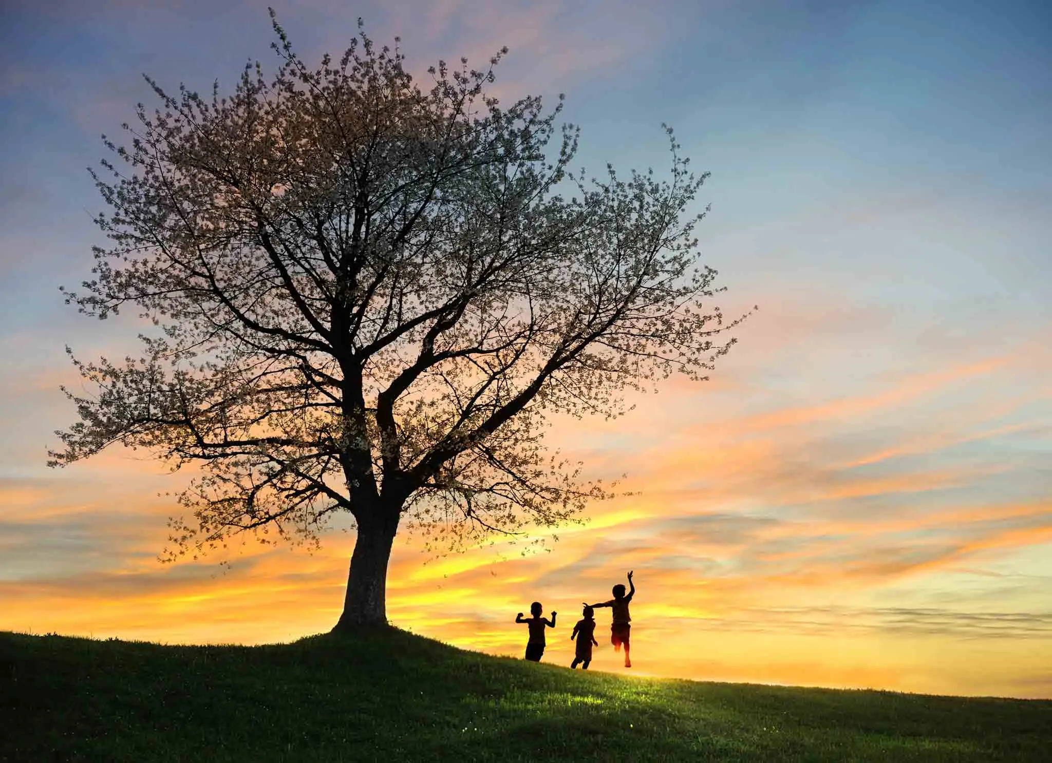 Silhouette of three children playing under a tree at sunset.