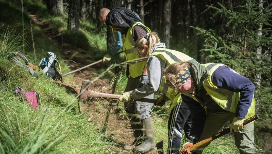People working in the forest using tools to create a pathway.