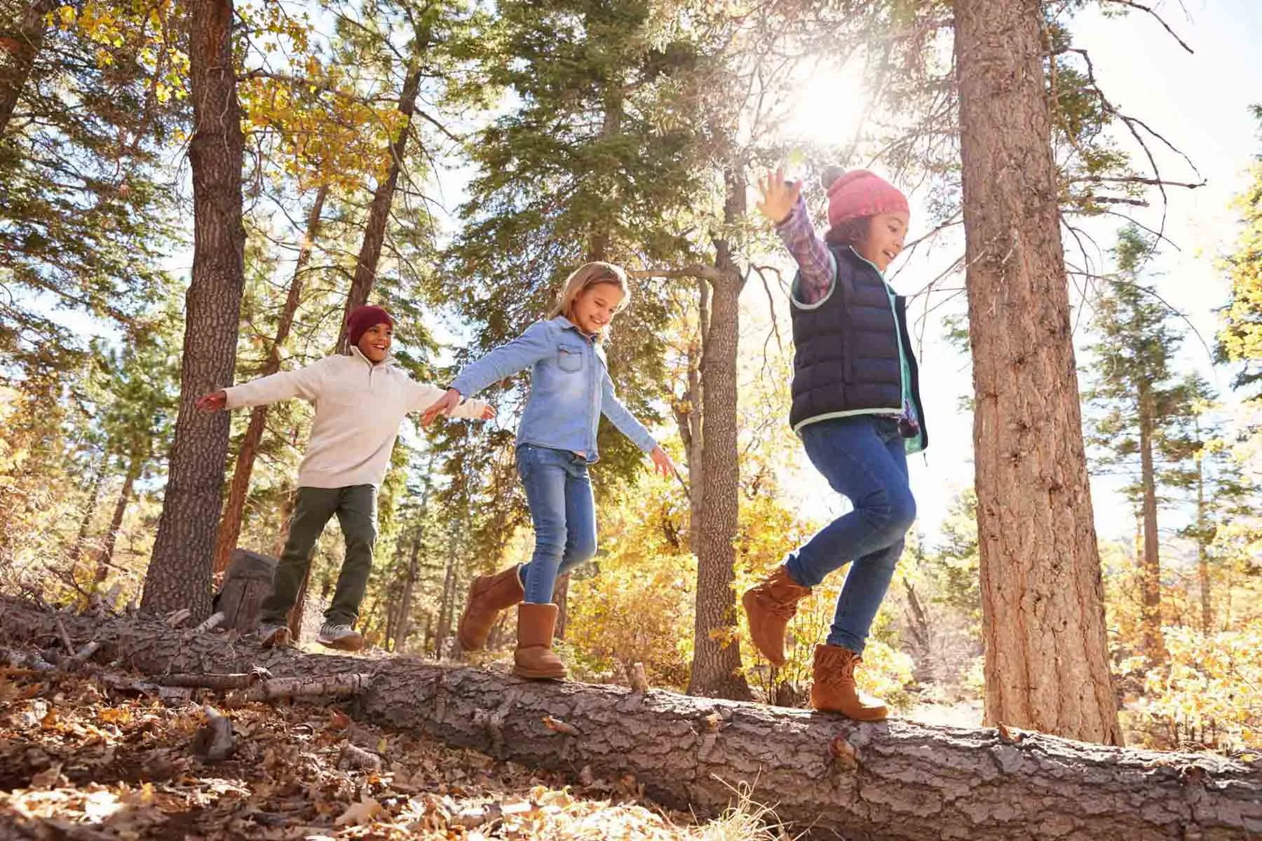 Three children balancing and walking along on a felled tree trunk in the woods.