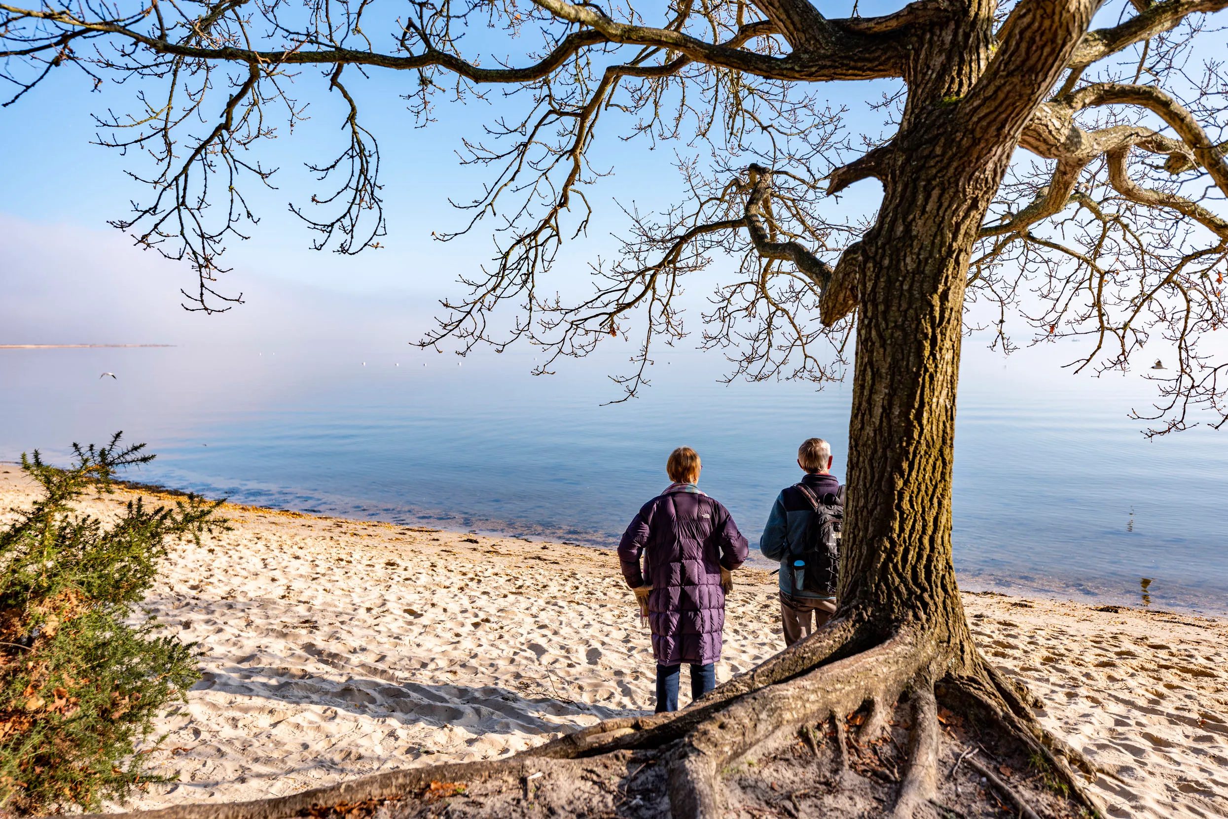 Two people stood on Arne beach looking out over the sea, with a tree behind them.