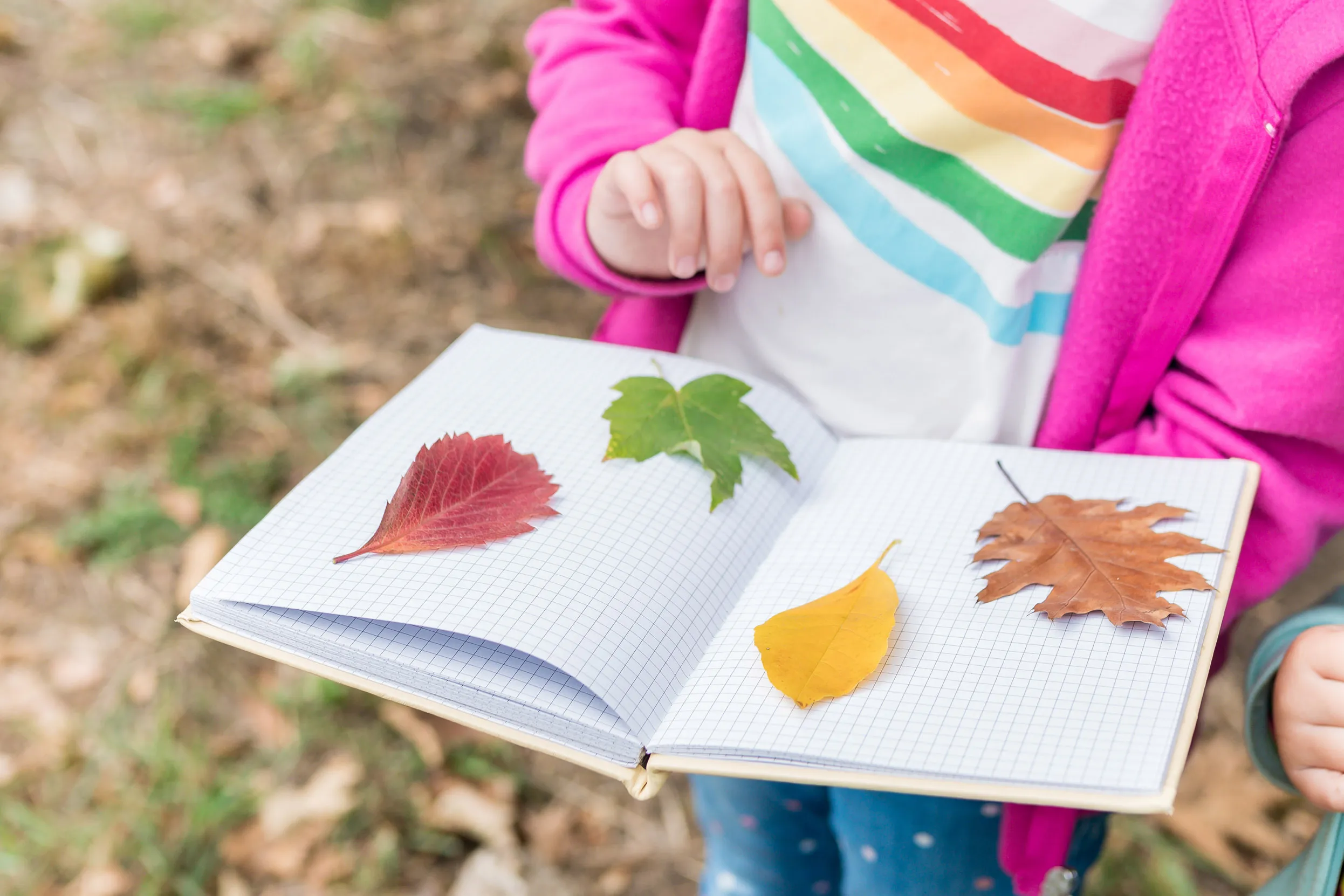 A child holding open an empty notebook placing leaves on the pages.