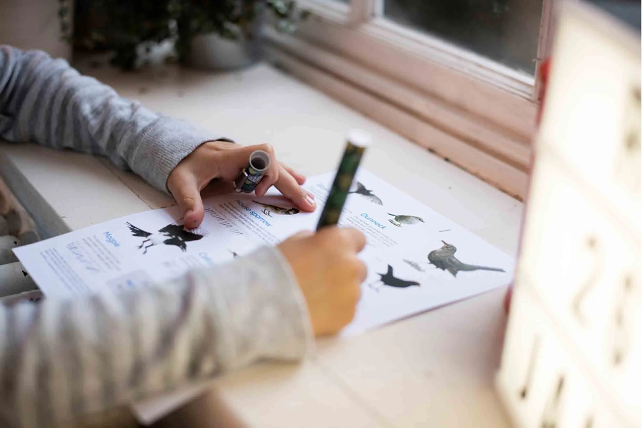 A child resting on a windowsill and using a pen to fill in a Big Garden Birdwatch activity sheet.