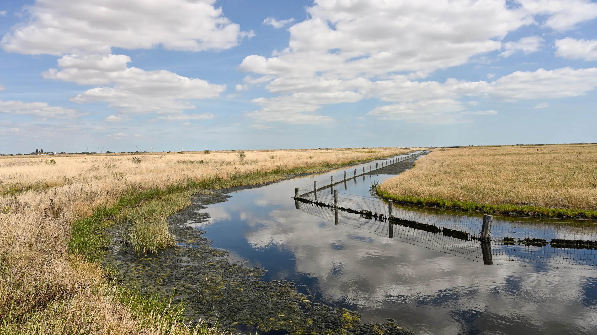 A body of water flowing through grassland and Wallasea.