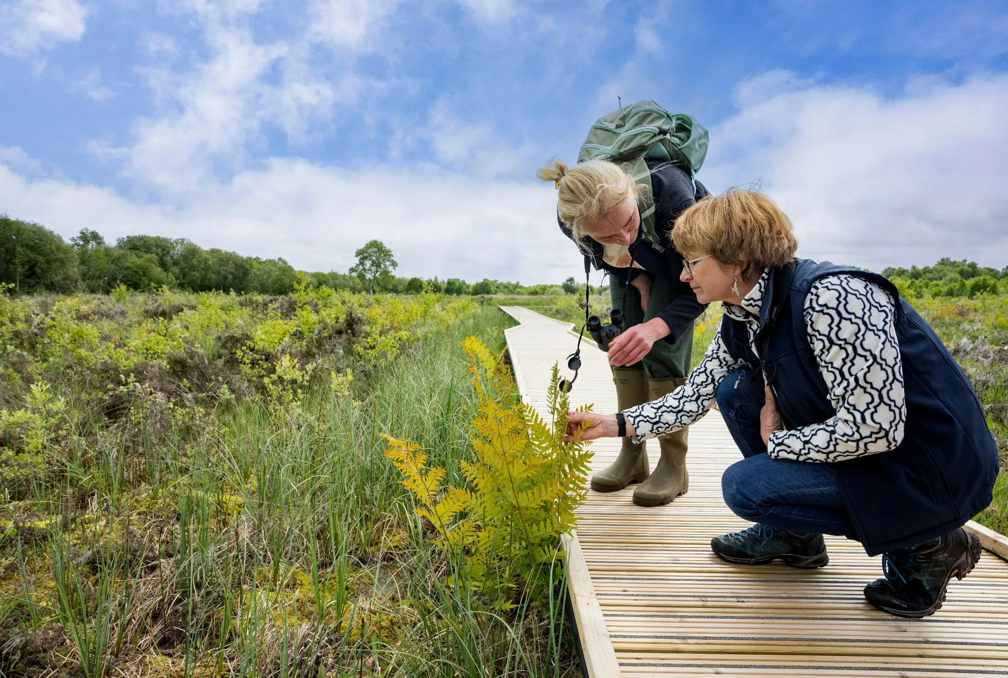 Two volunteers looking at plants of a path at RSPB Montiaghs Moss Nature Reserve, Country Antrim, Northern Ireland