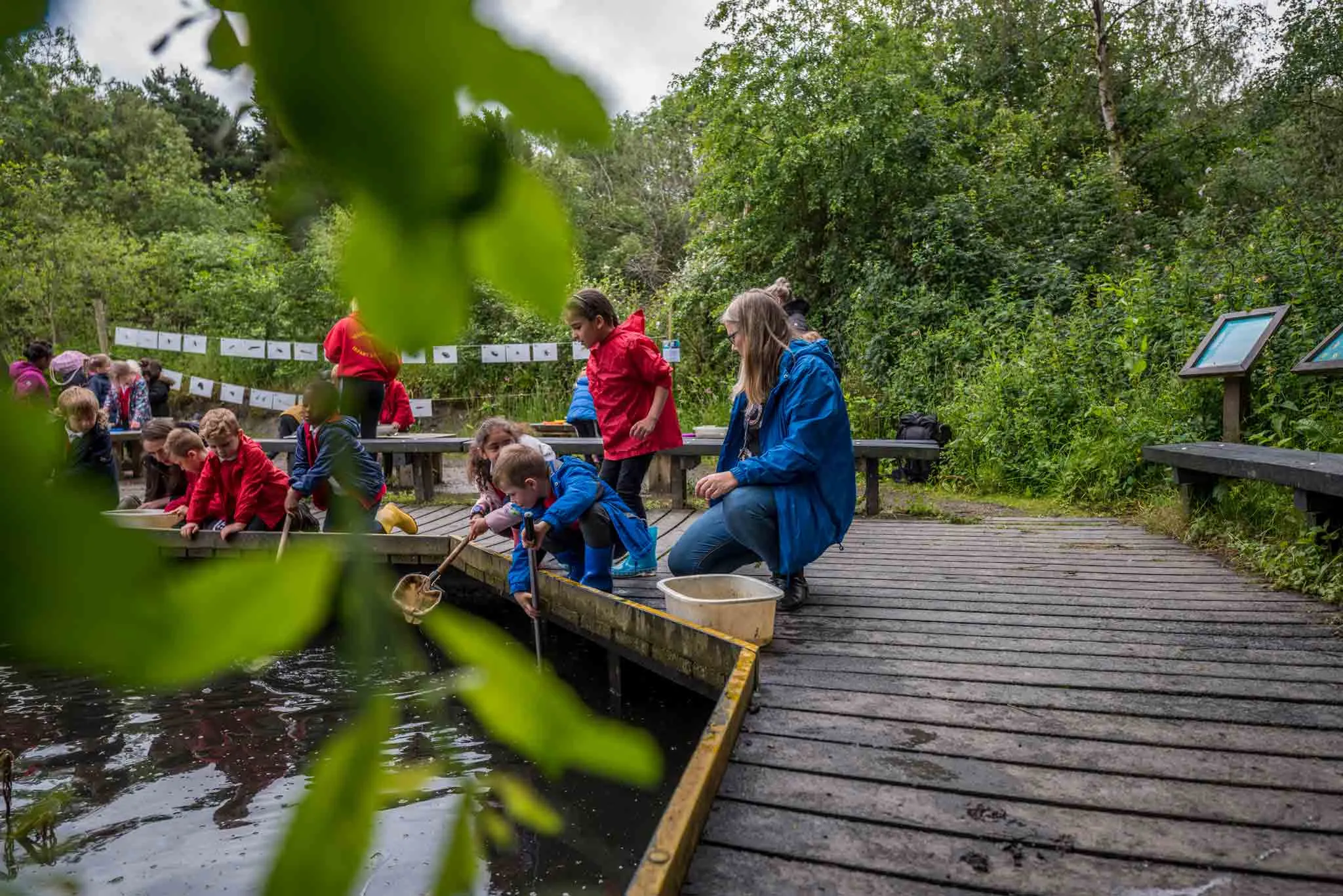 A group of children and their teacher ponding dipping, sat on wooden decking.