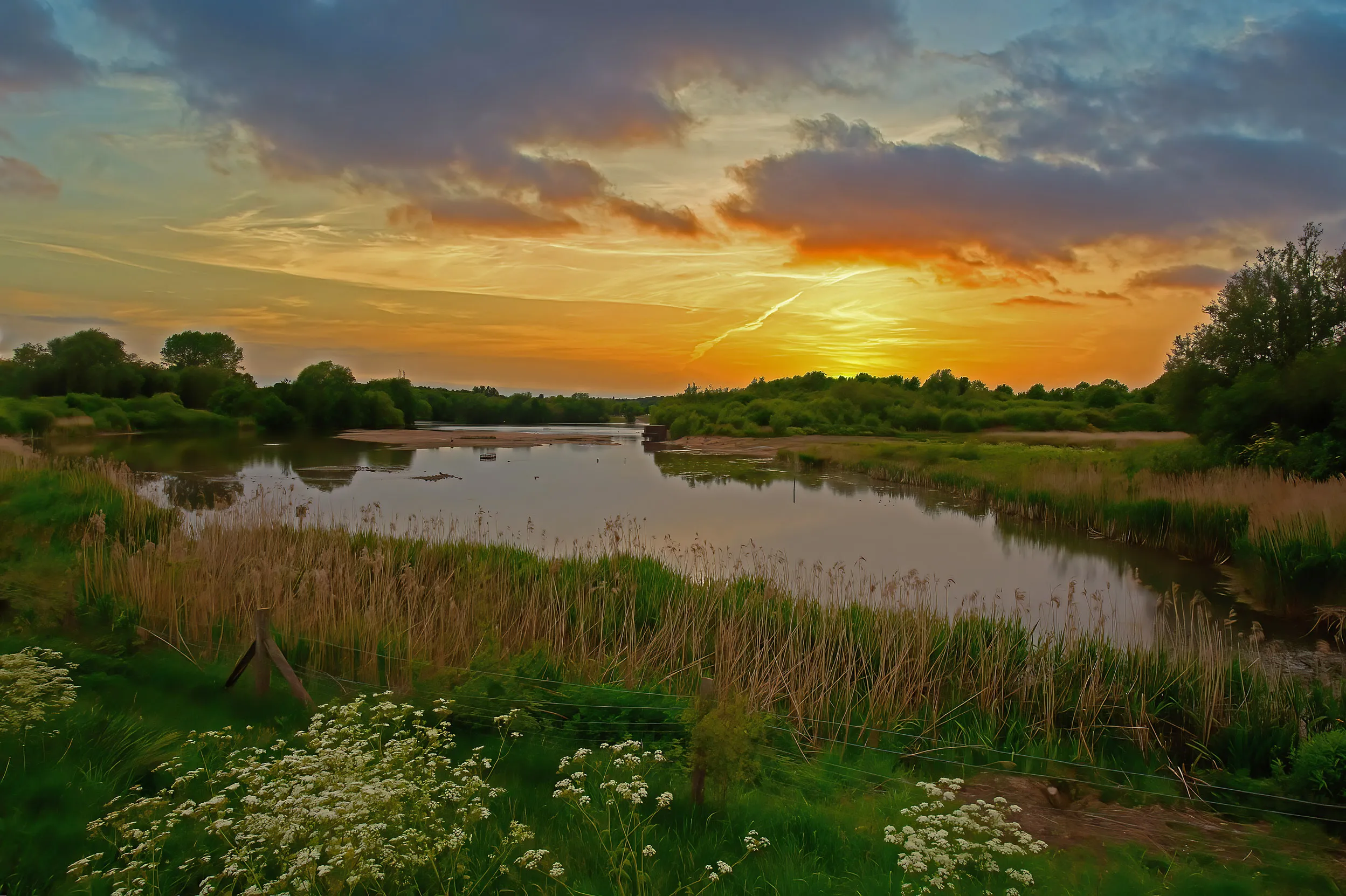 Surrounded by grassland, small white flowers and reedbeds we can see an orange sunset over the lake.