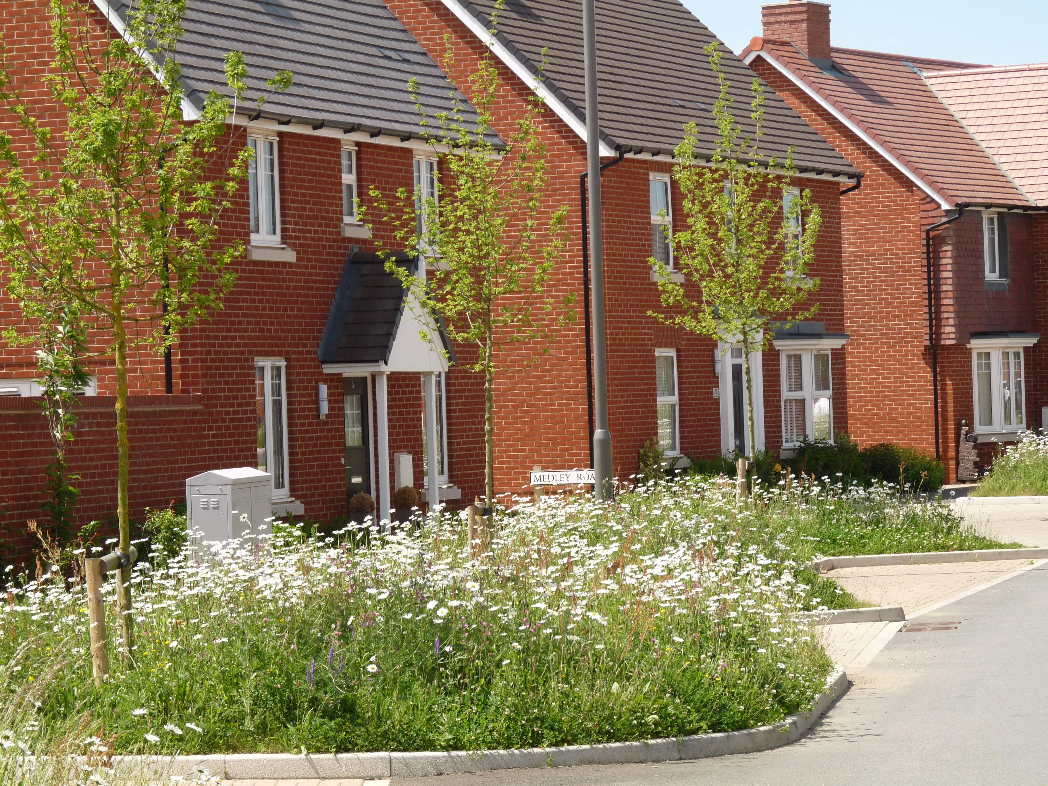 Kingsbrook homes with wildflower verges on the street.