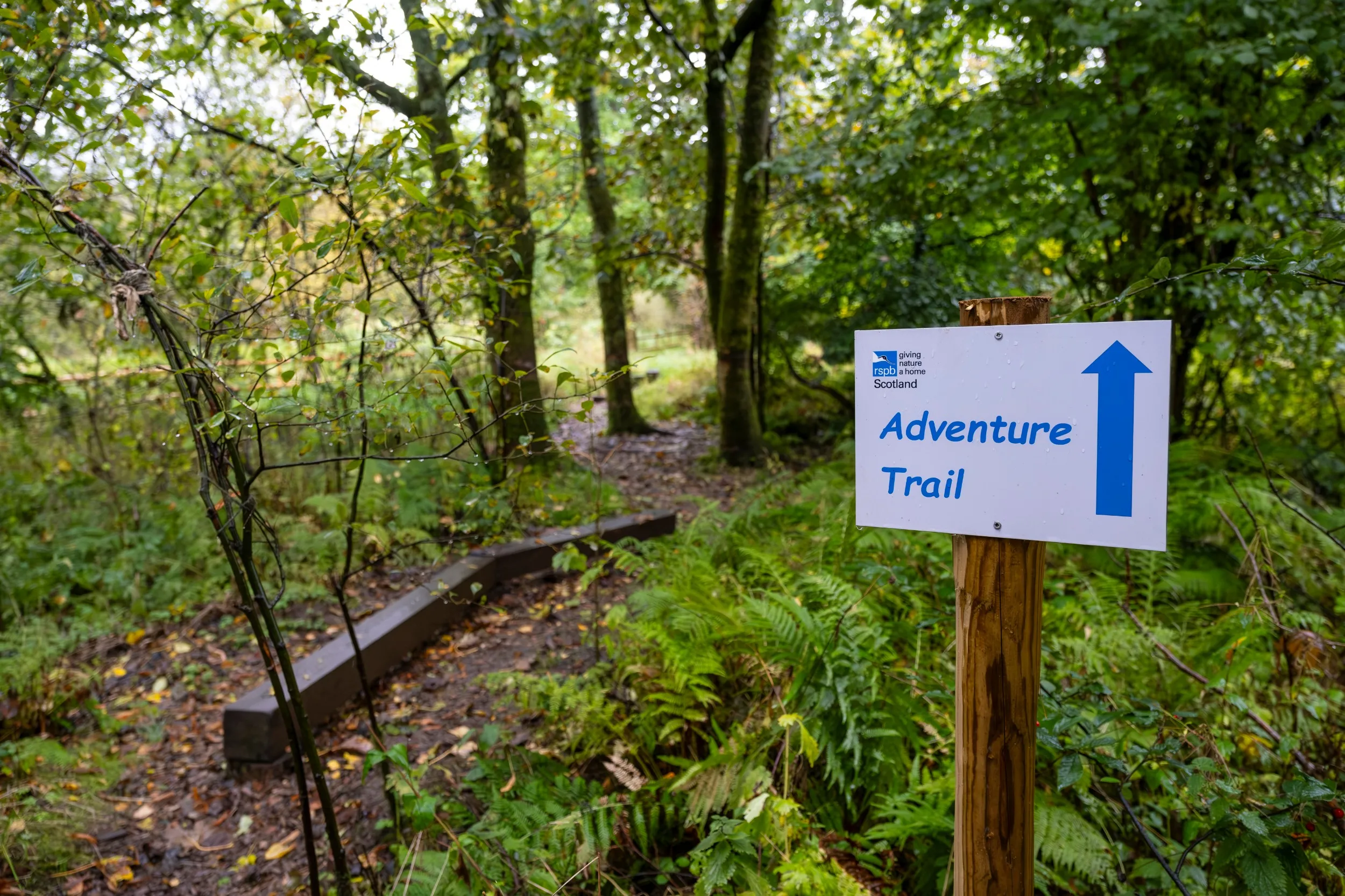 Adventure trail signage at RSPB Lochwinnoch nature reserve. 