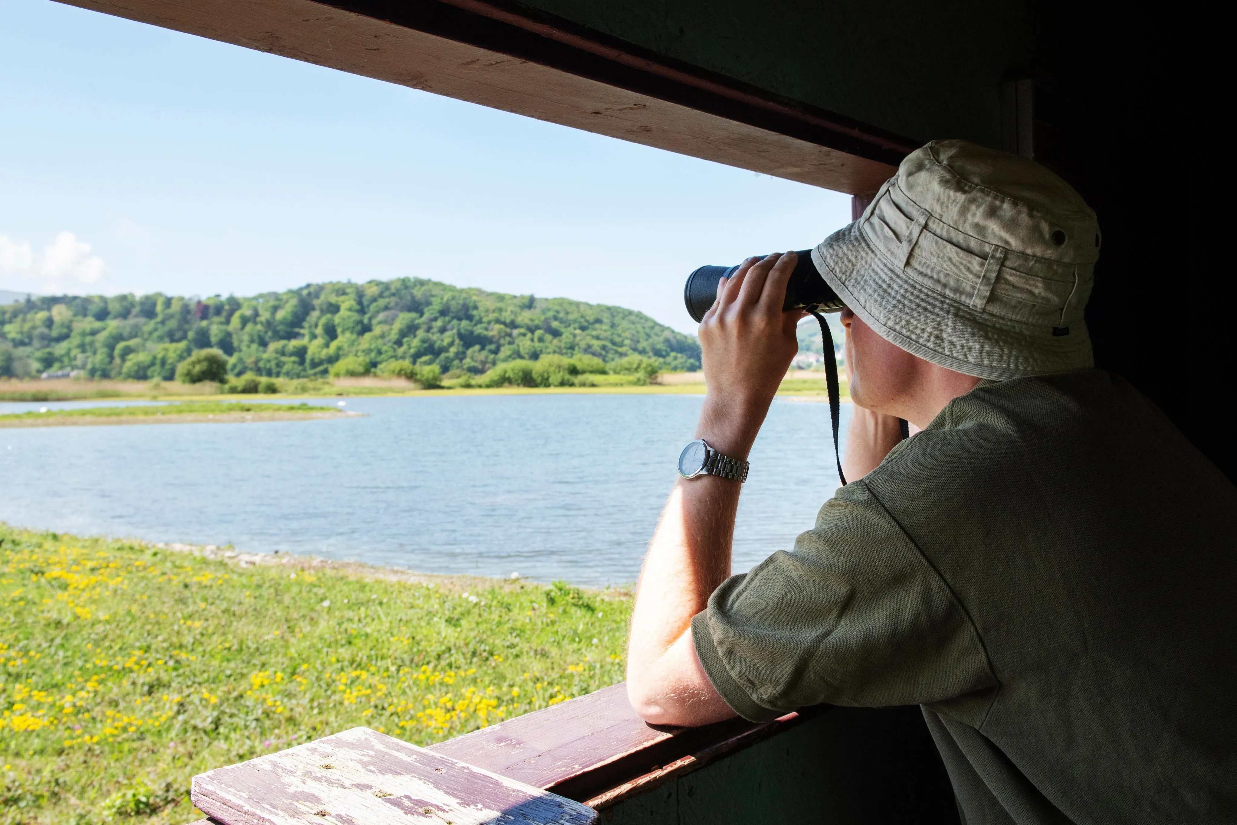 A person in a hide with binoculars looks out to a sunny reserve with a lake.