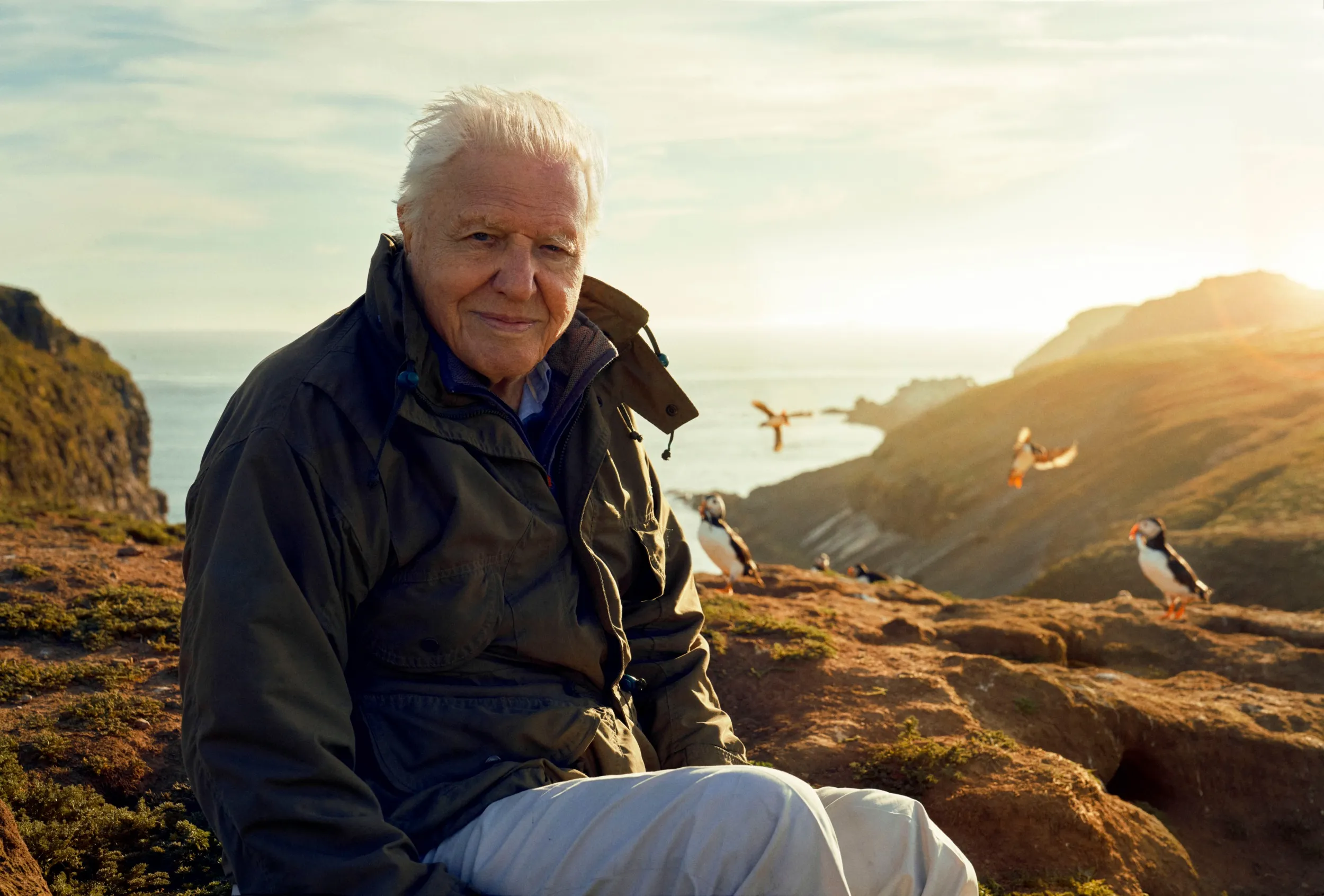 Sir David Attenborough on Skomer Island in 2022, filming for the Silverback Wild Isles series. 