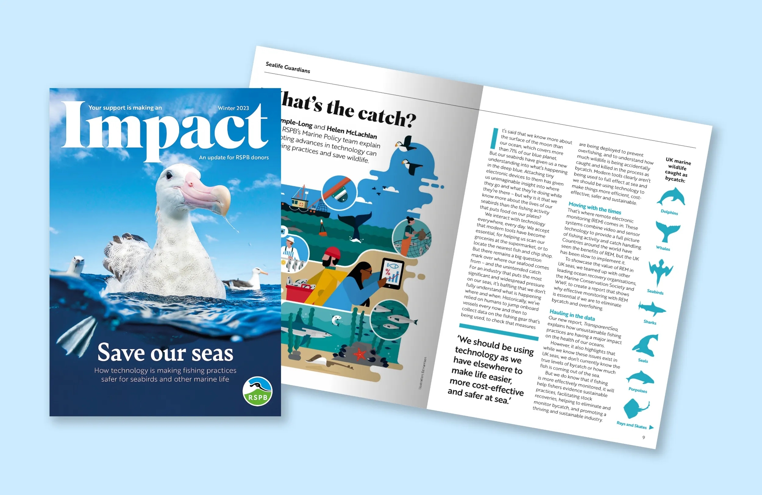 A cover shot of Impact magazine, featuring an Albatross. 