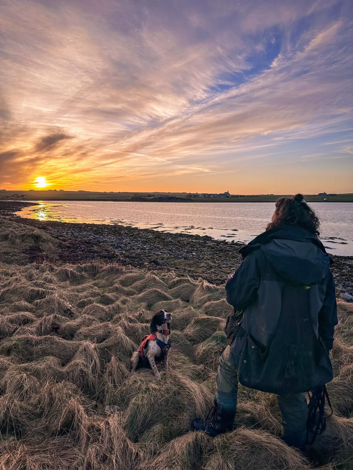 A researcher plays with her dog at sunrise on the banks of a river.