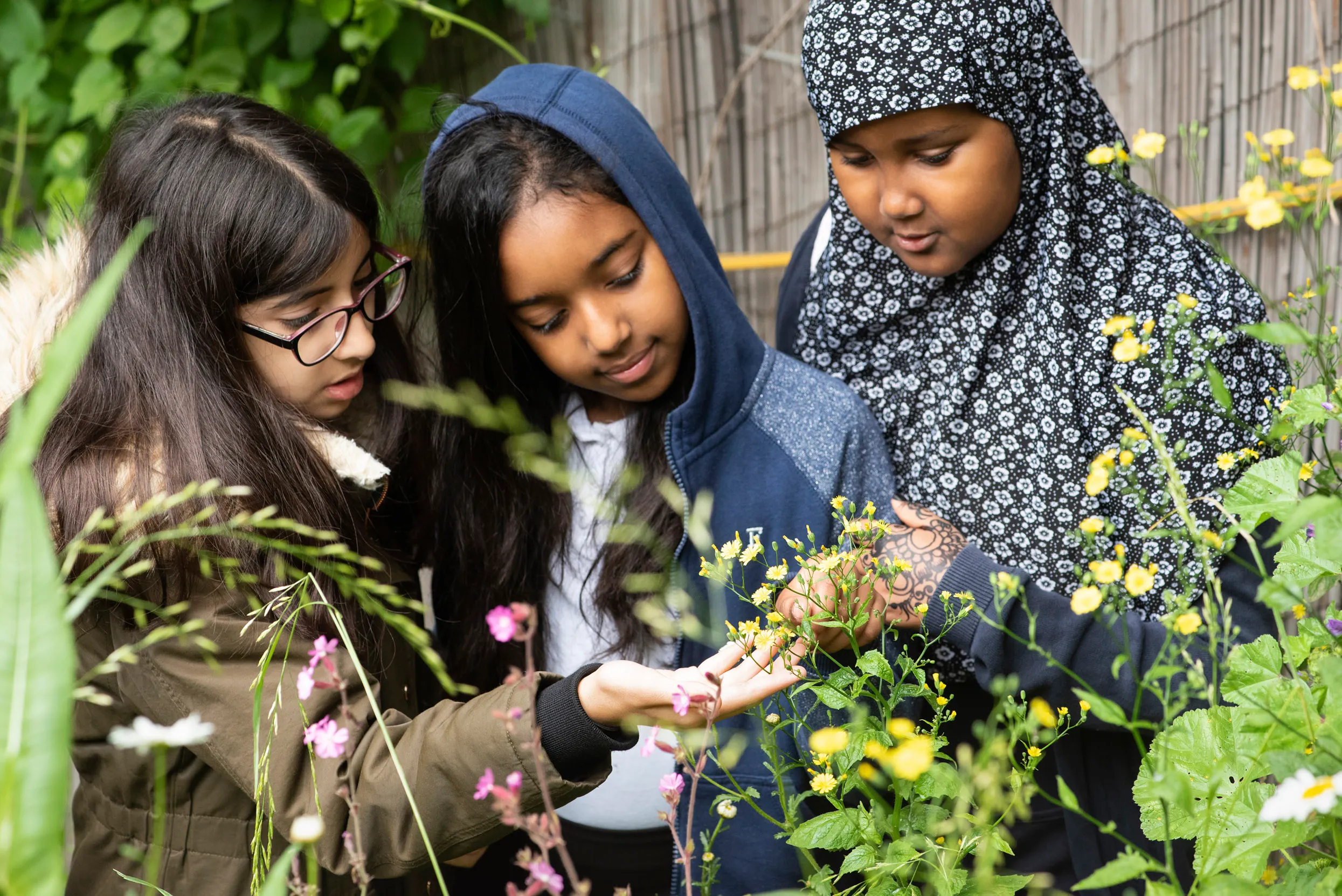 A group of school children looking at flowers growing outside.