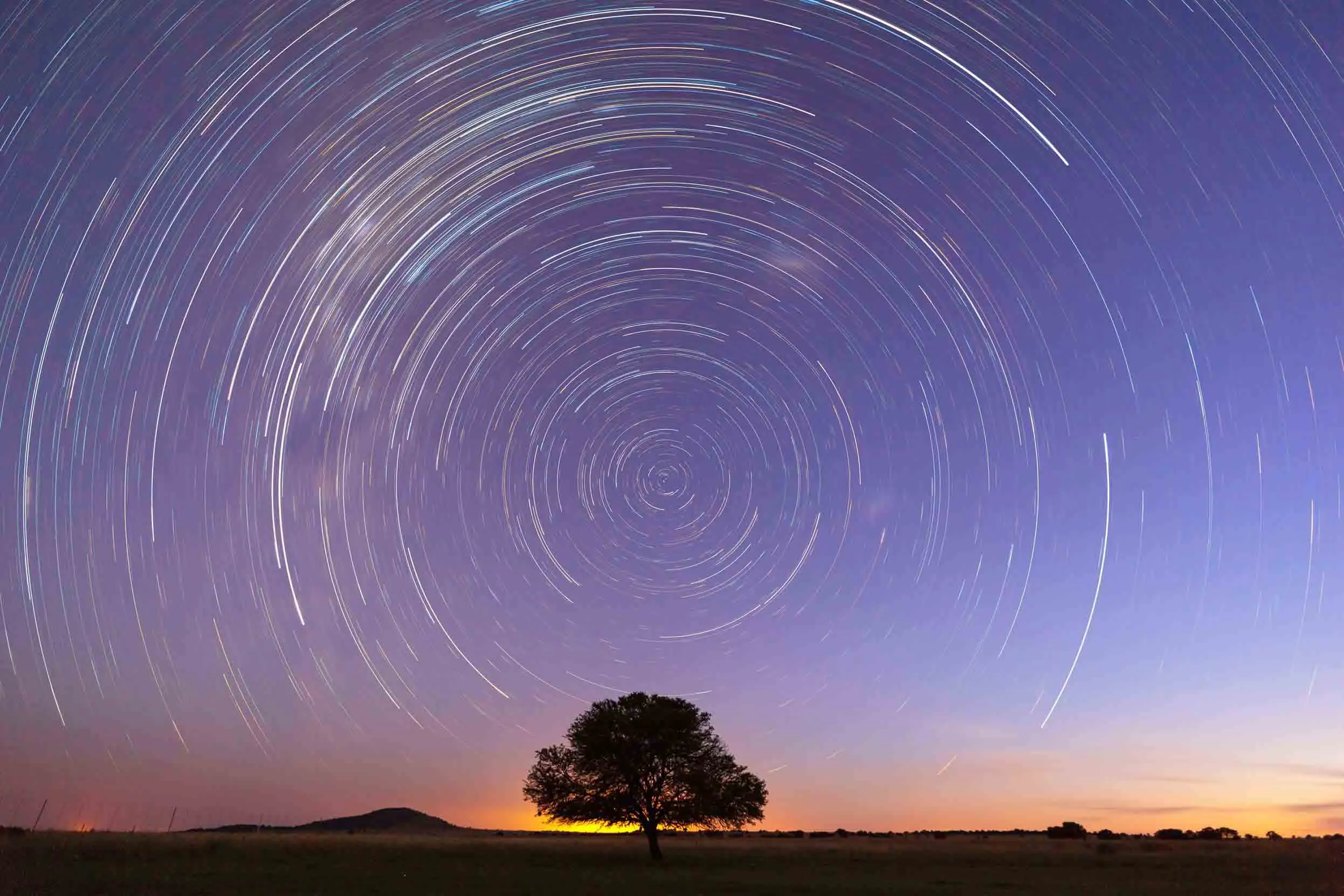 Silhouette of a tree along a flat horizon, set against a purple and orange sky marked by concentric circles of startrails.