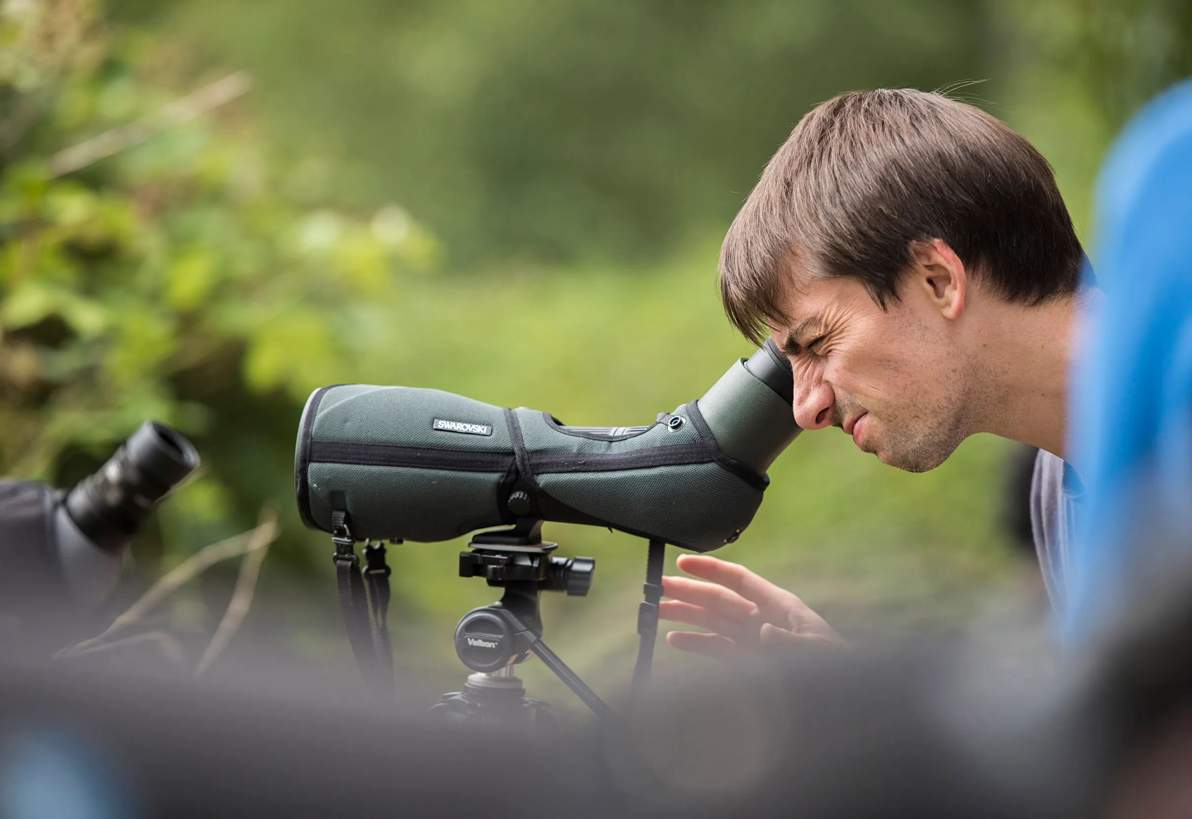 Person looking through a telescope surrounded by greenery.
