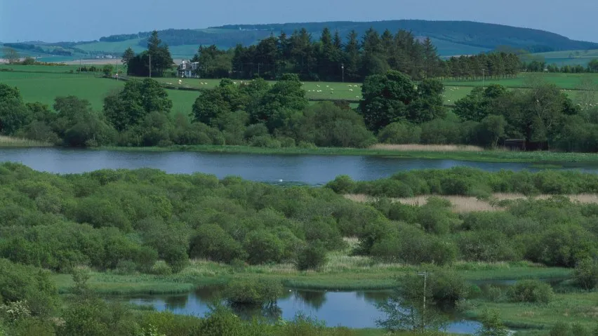 Overview of site from north side, Loch of Kinnordy RSPB reserve, Scotland