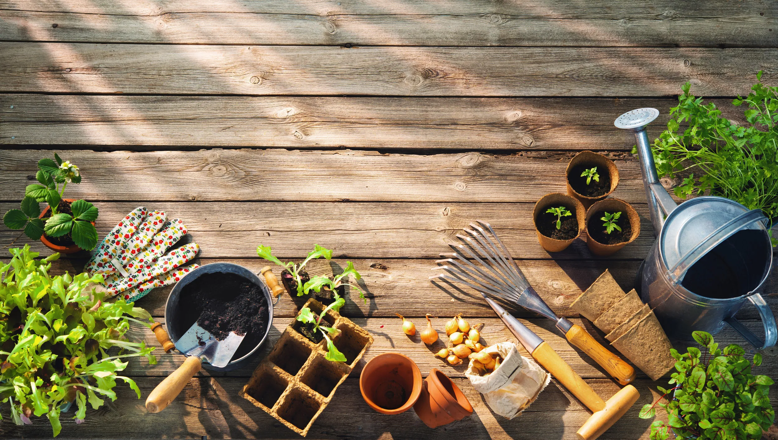 A wooden deck with an assortment of gardening tools, accessories and plants.