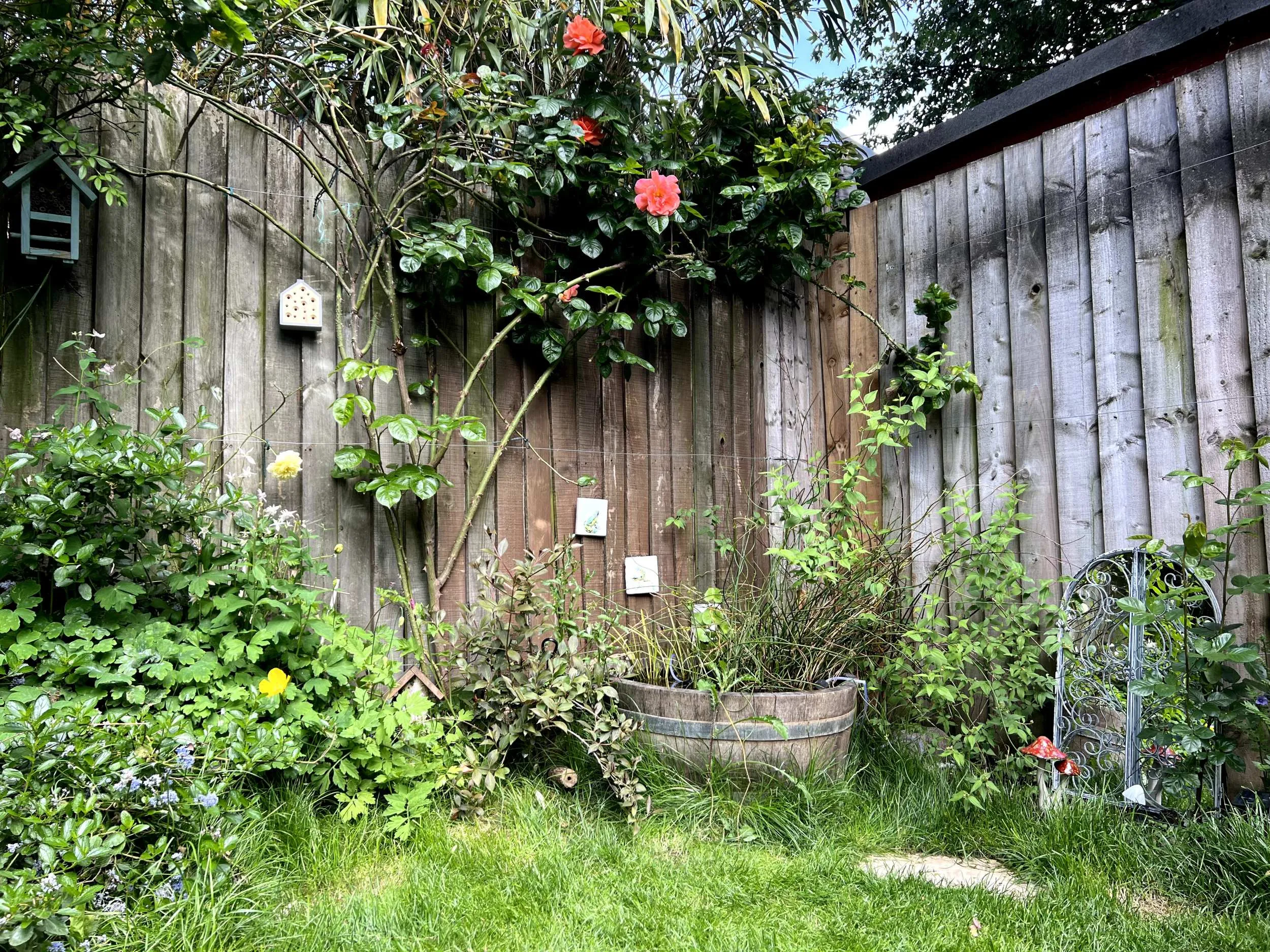 The corner of a garden featuring a small wildlife pond, a mirror and flowering shrubs.