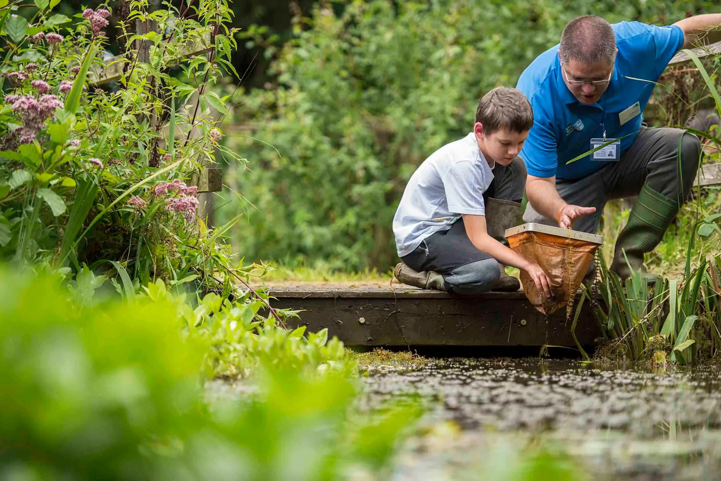 An adult in RSPB uniform and a child holding a pond dipping net, both crouched on decking by the edge of a pond.