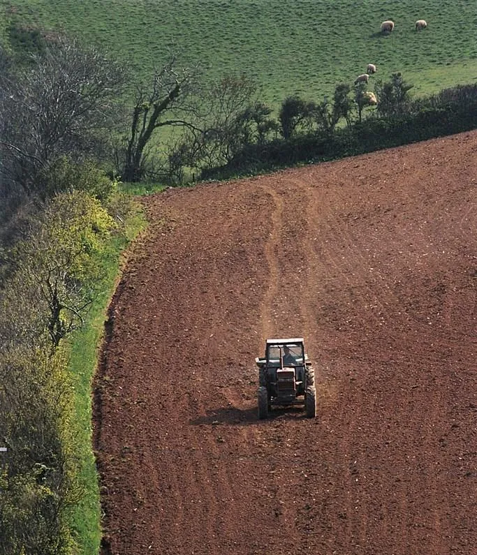 A tractor spreads fertiliser over a ploughed field lined with hedges.