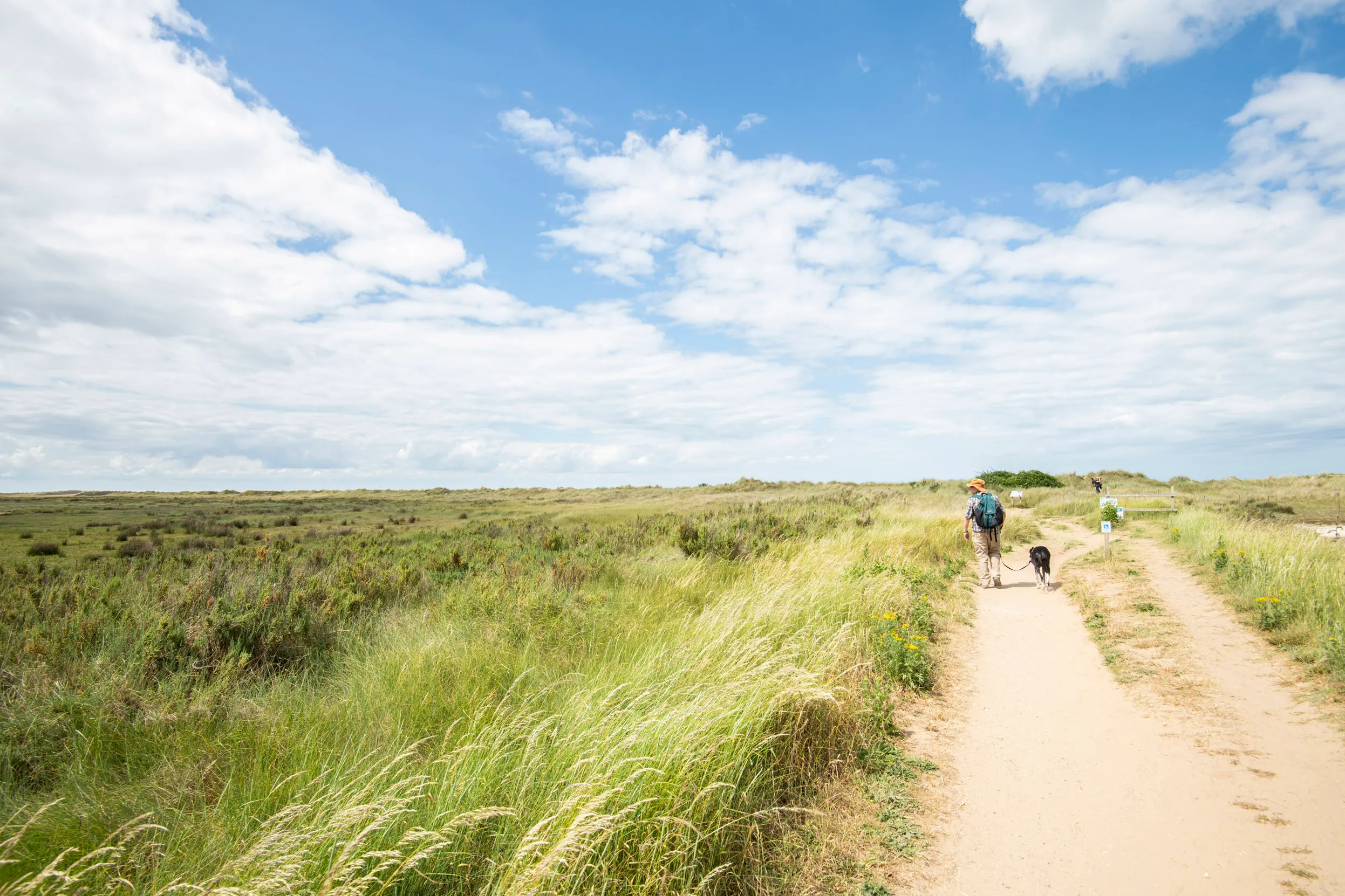 A wide view of a person and their dog on a dirt trail at Titchwell surrounded by grassland and cloudy blue sky,