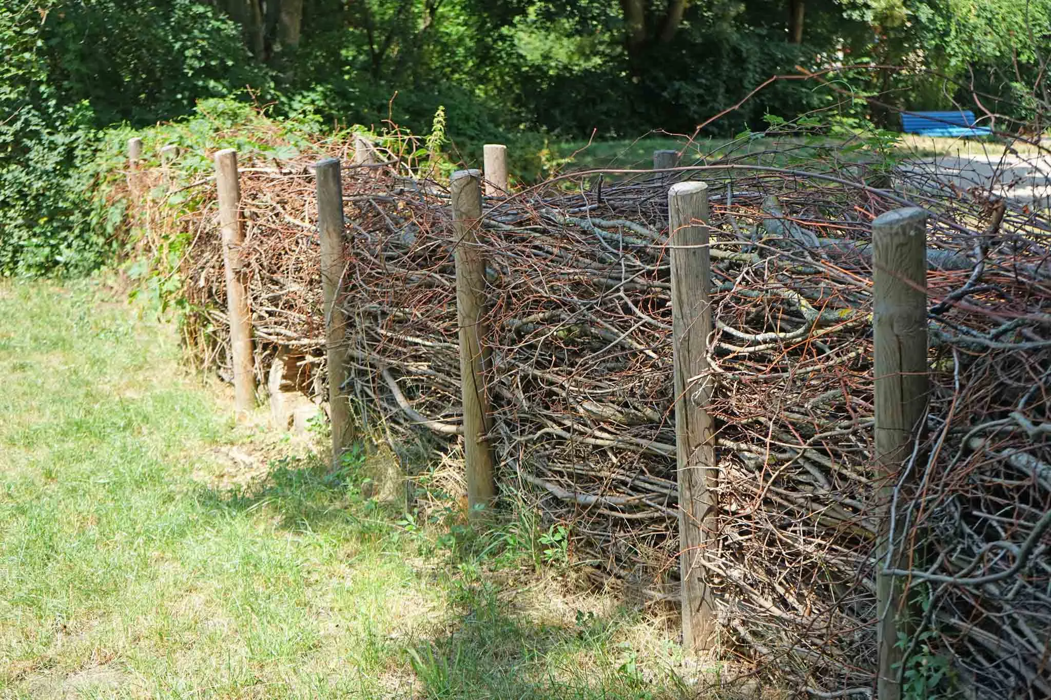 A natural barrier comprised of two lines of wooden posts, providing an outer structure which contains the layers of twigs and branches that have been sandwiched in the gap between them.