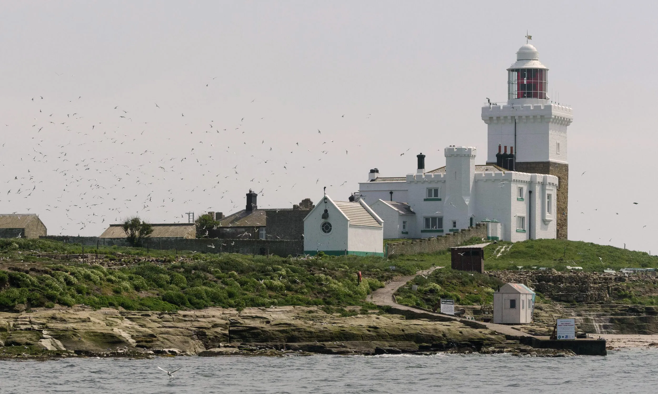 A view of Coquet Island lighthouse, taken from the water