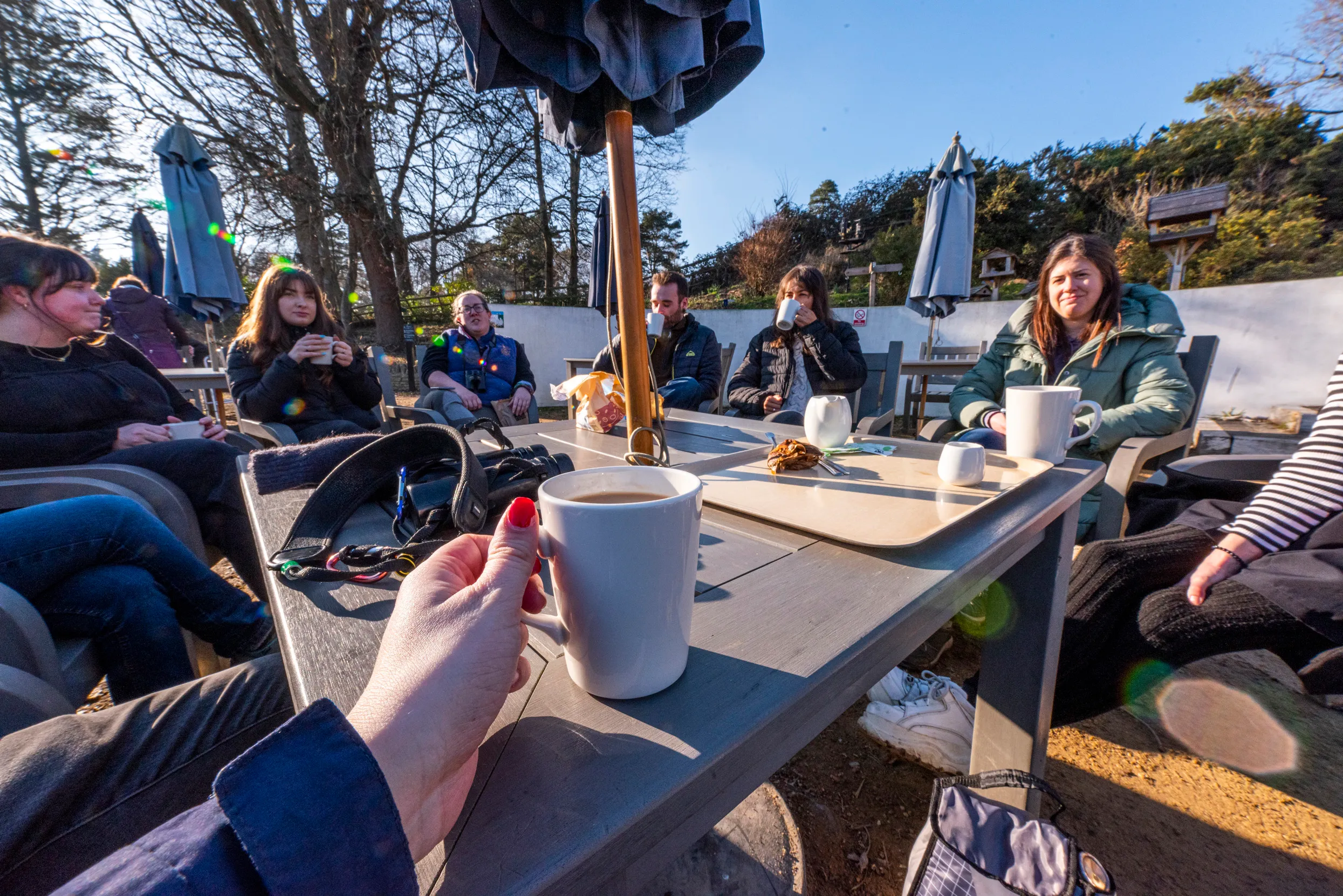 A group of visitors enjoy hot drinks at RSPB Arne on a sunny day.