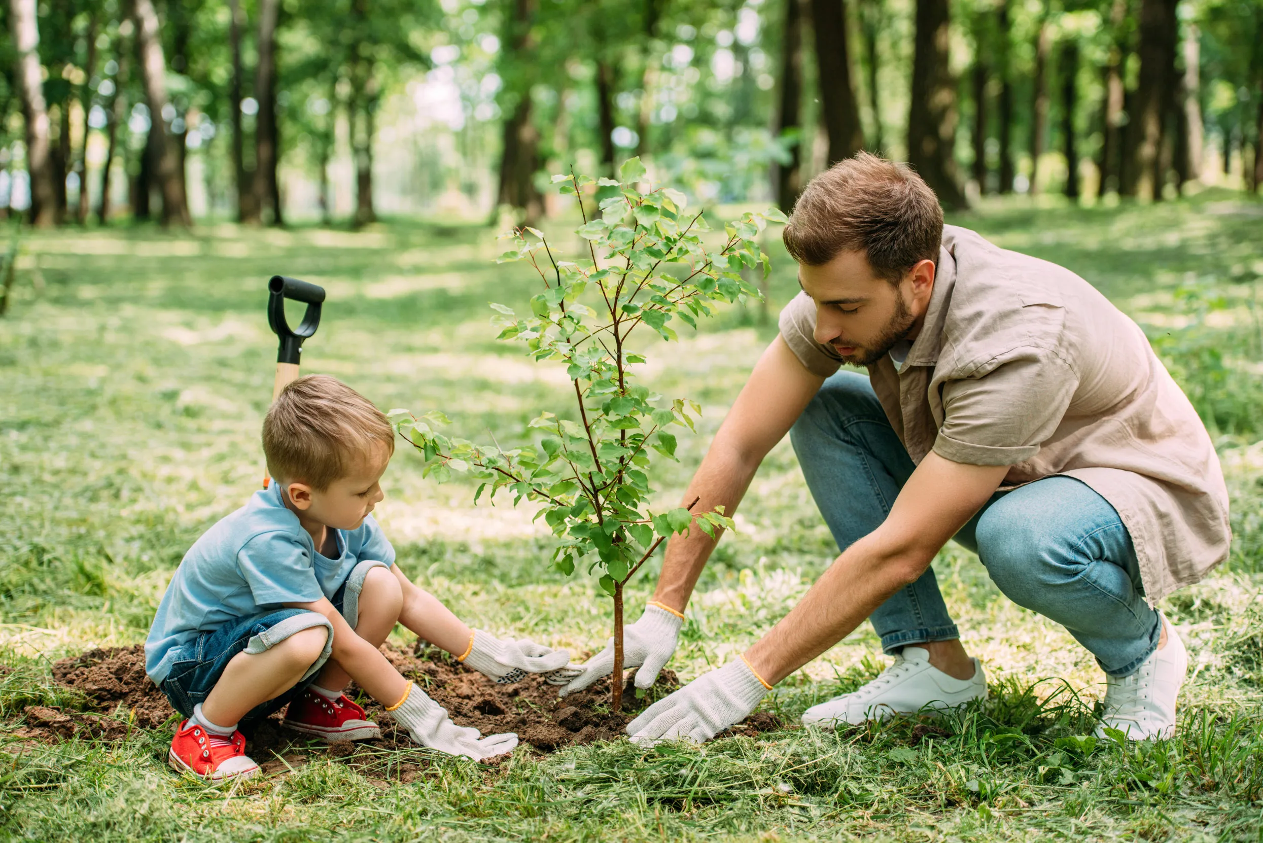 An adult and their child planting a tree together.
