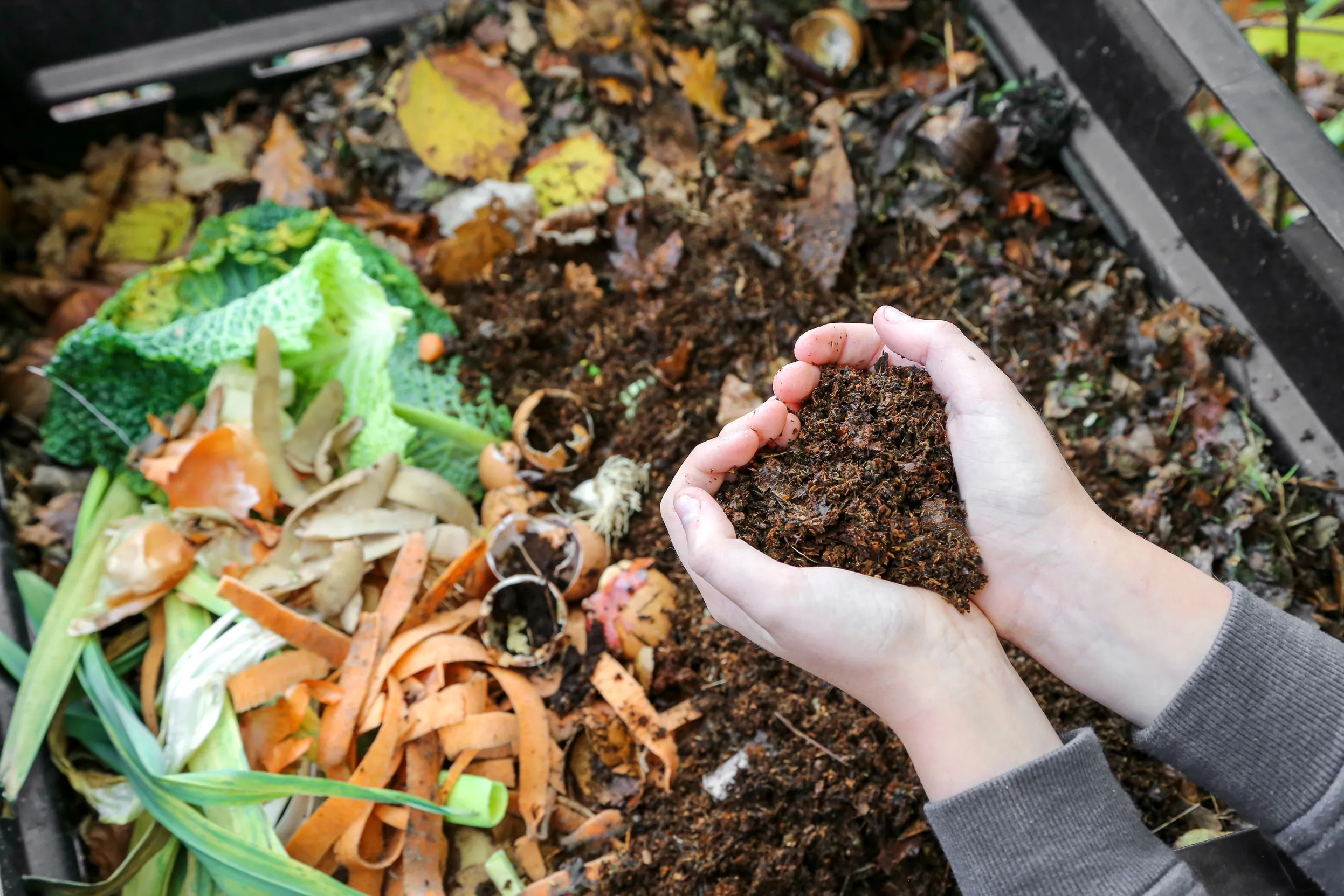 A person holding soil from a compost heap in the shape of a heart. 