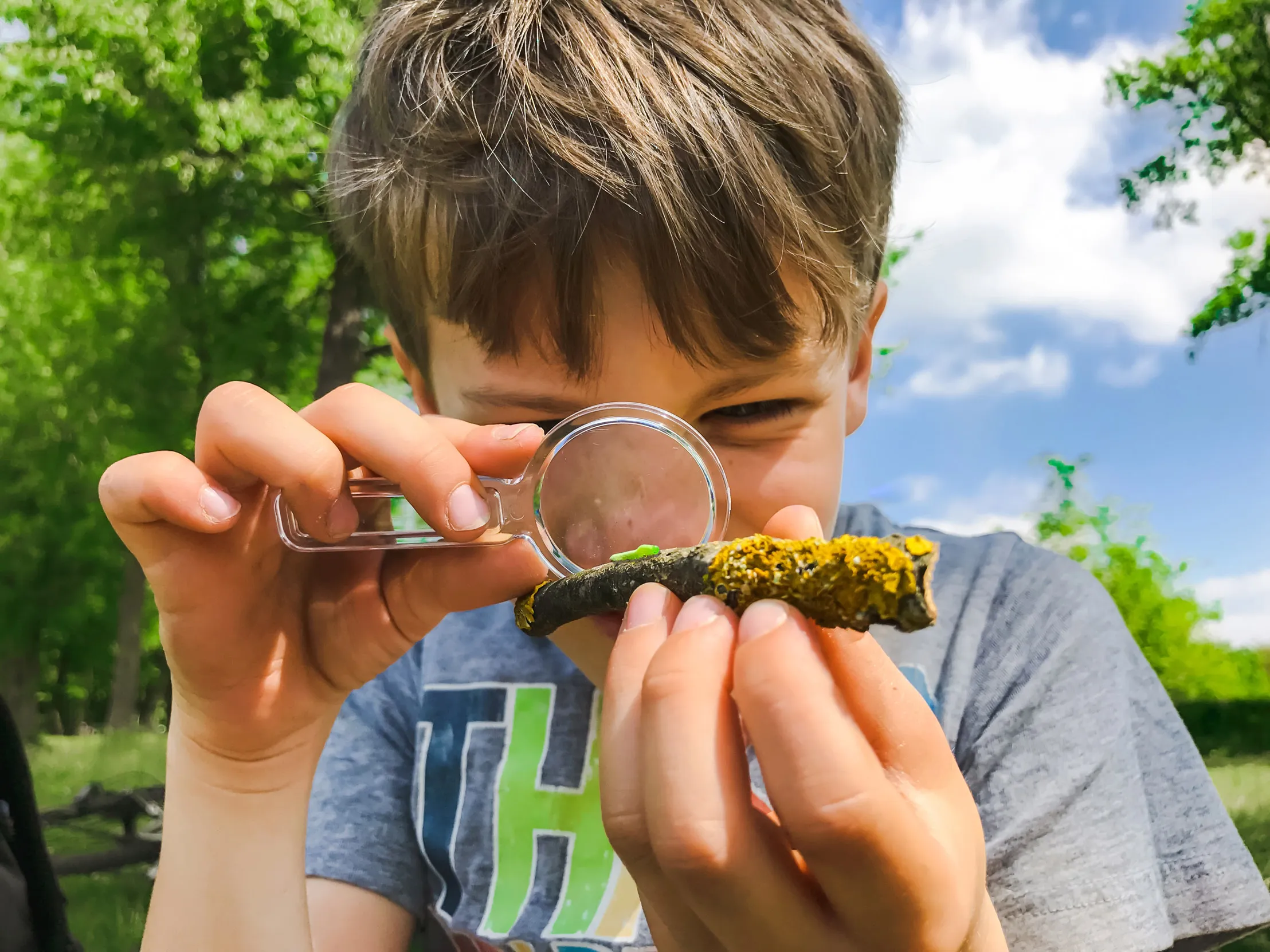 A child looking through a magnifying glass at a lichen covered twig with a small green caterpillar on it.
