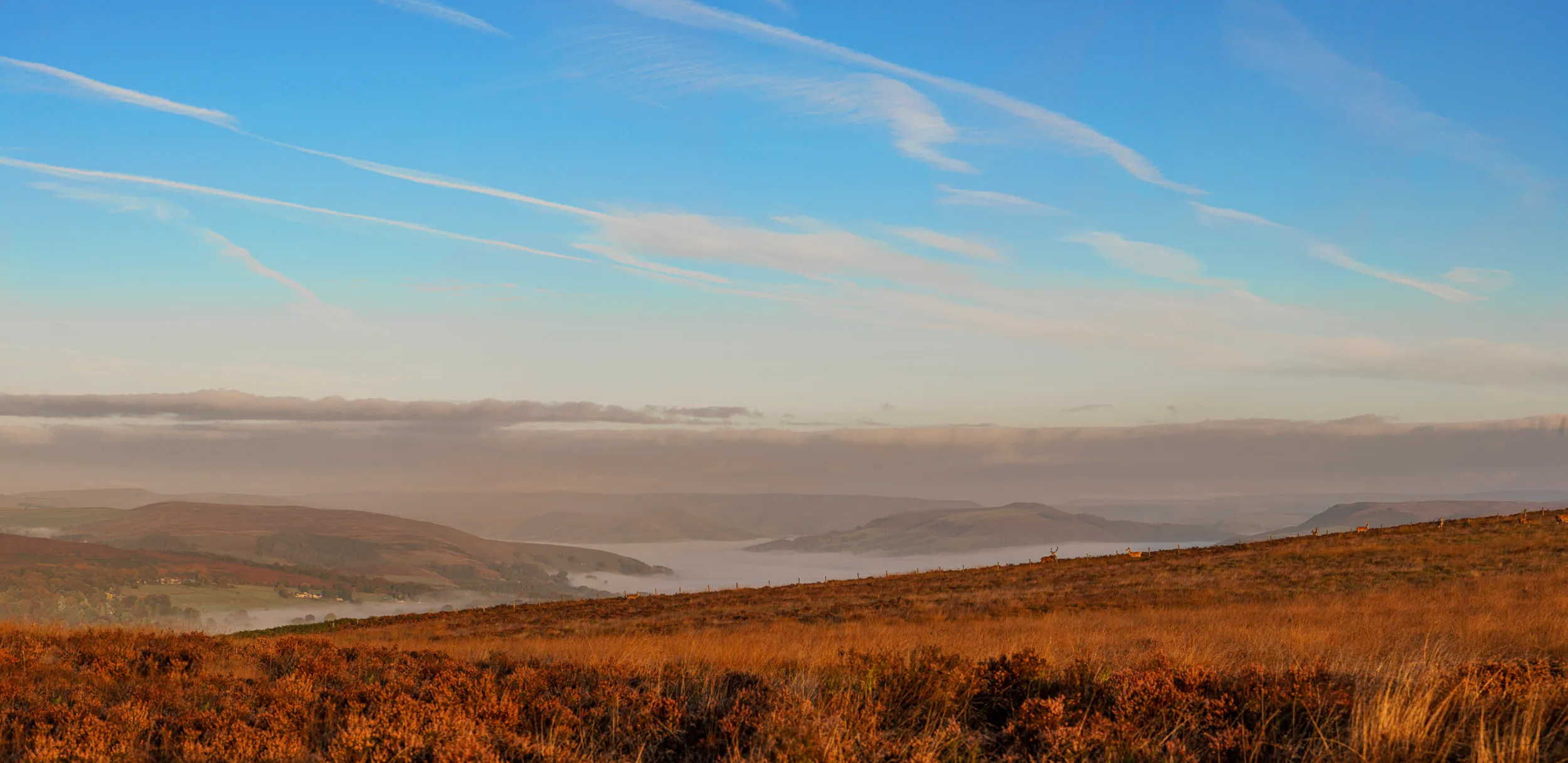 A view across vast, undulating moorland, with a bank of fog resting in the valleys.