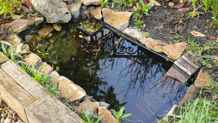 A small container pond with a wildlife ramp going into it.