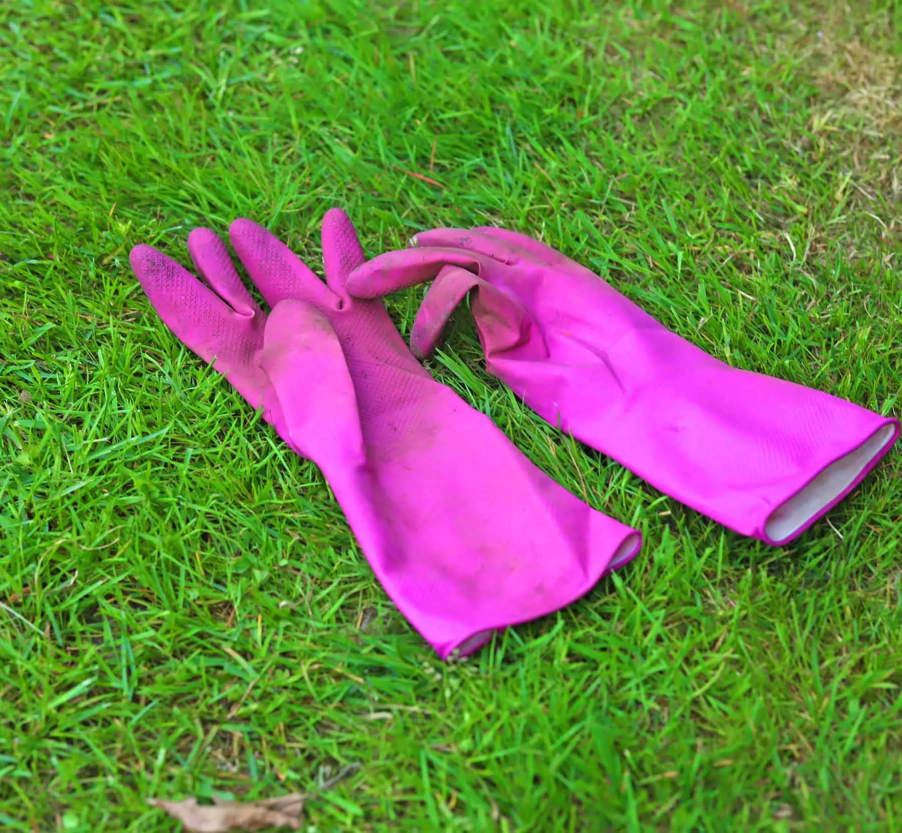 A pair of purple rubber gloves laid on green grass.