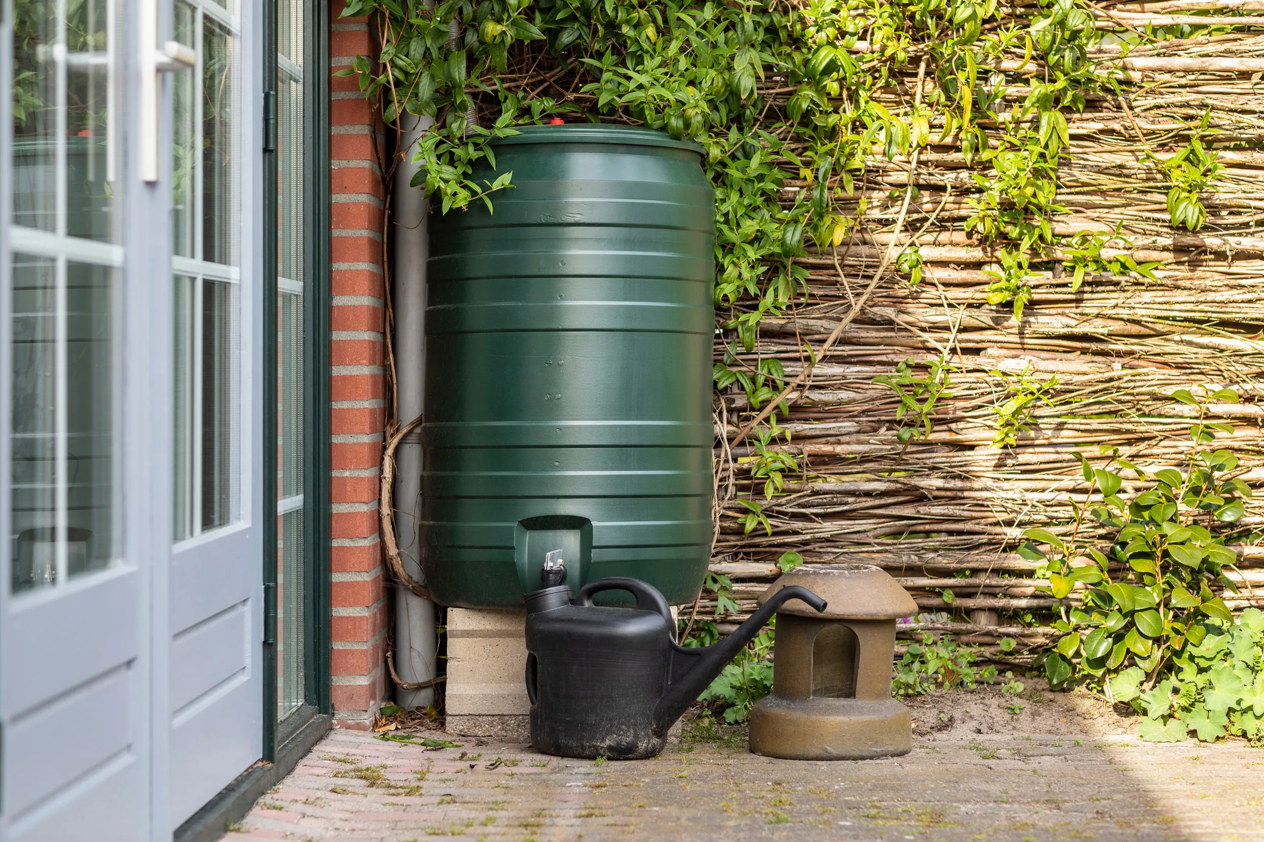 A watering can being filled from a plastic water butt, sitting on the corner of a patio against a wicker fence and brick wall.