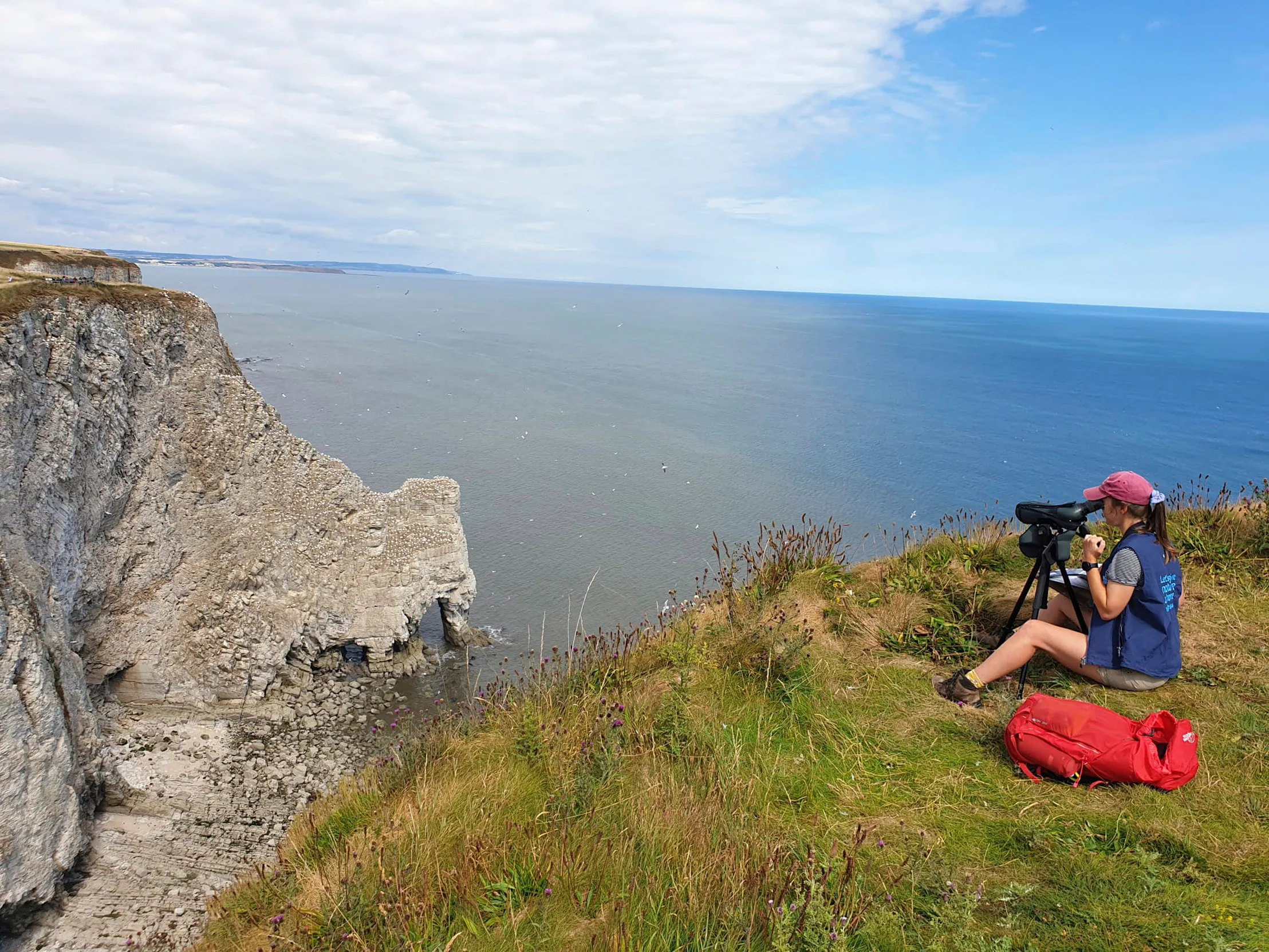 A volunteer sat on the cliff edge at Bempton Cliffs monitoring seabirds.
