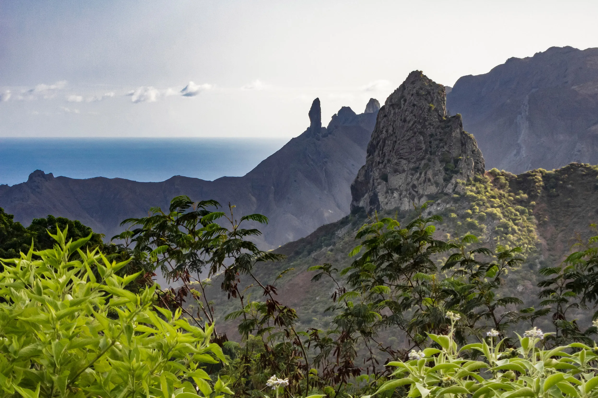 The view of the mountains at St Helena Island surrounded by the tops of leafy green trees.