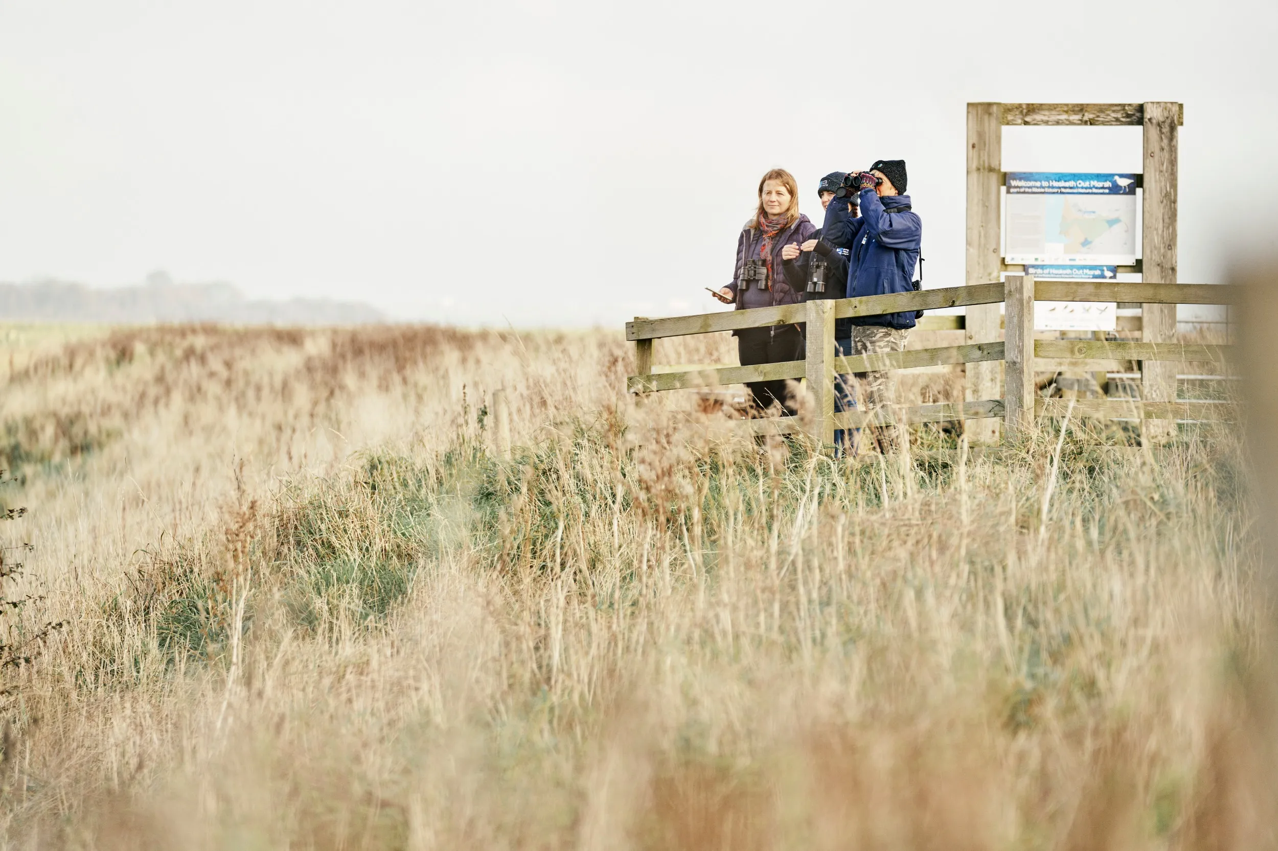 Three people with binoculars, looking across grassland from a reserve path.