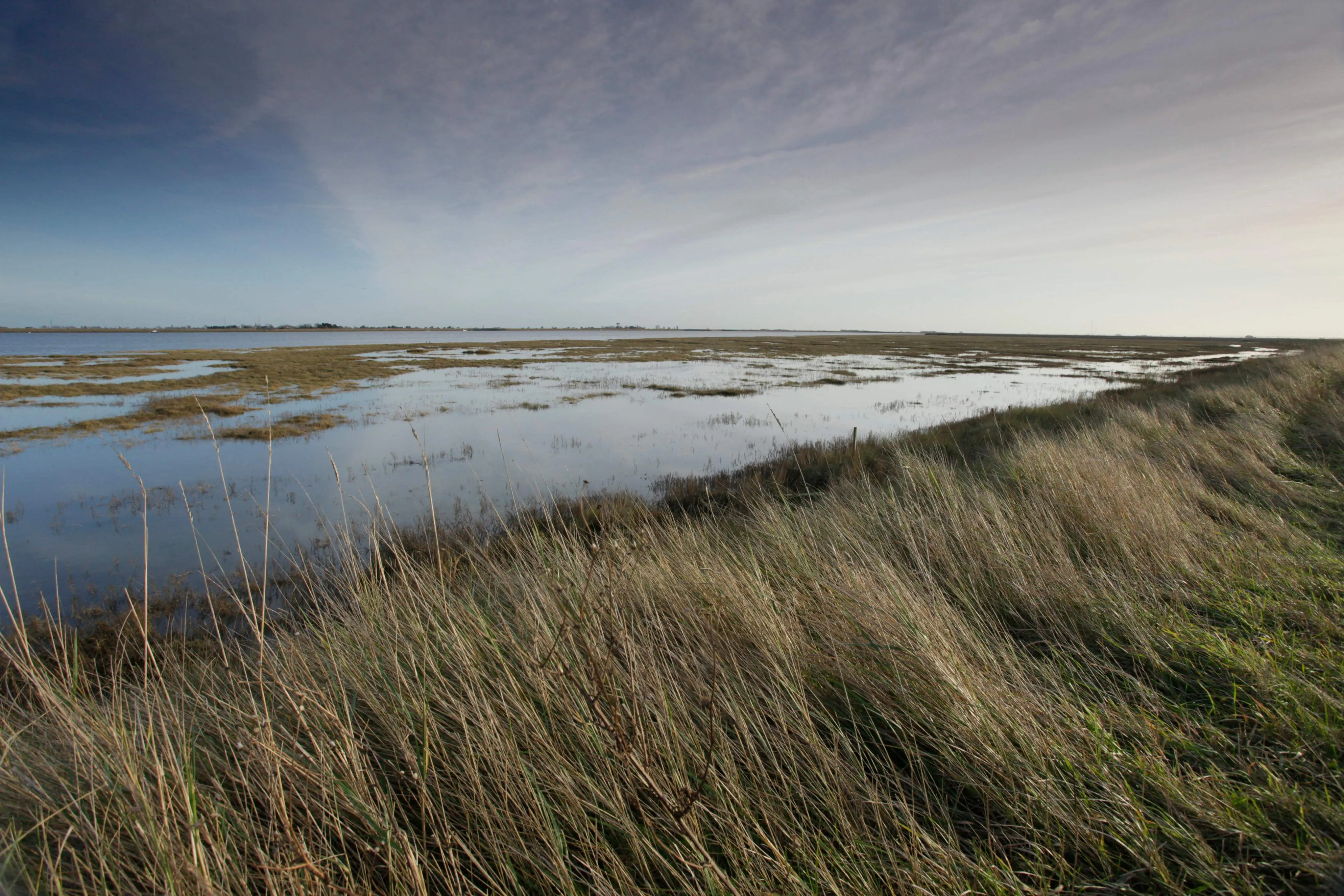 Landscape image of Wallasea Island with grass in the foreground and flooded marshes in the distance.