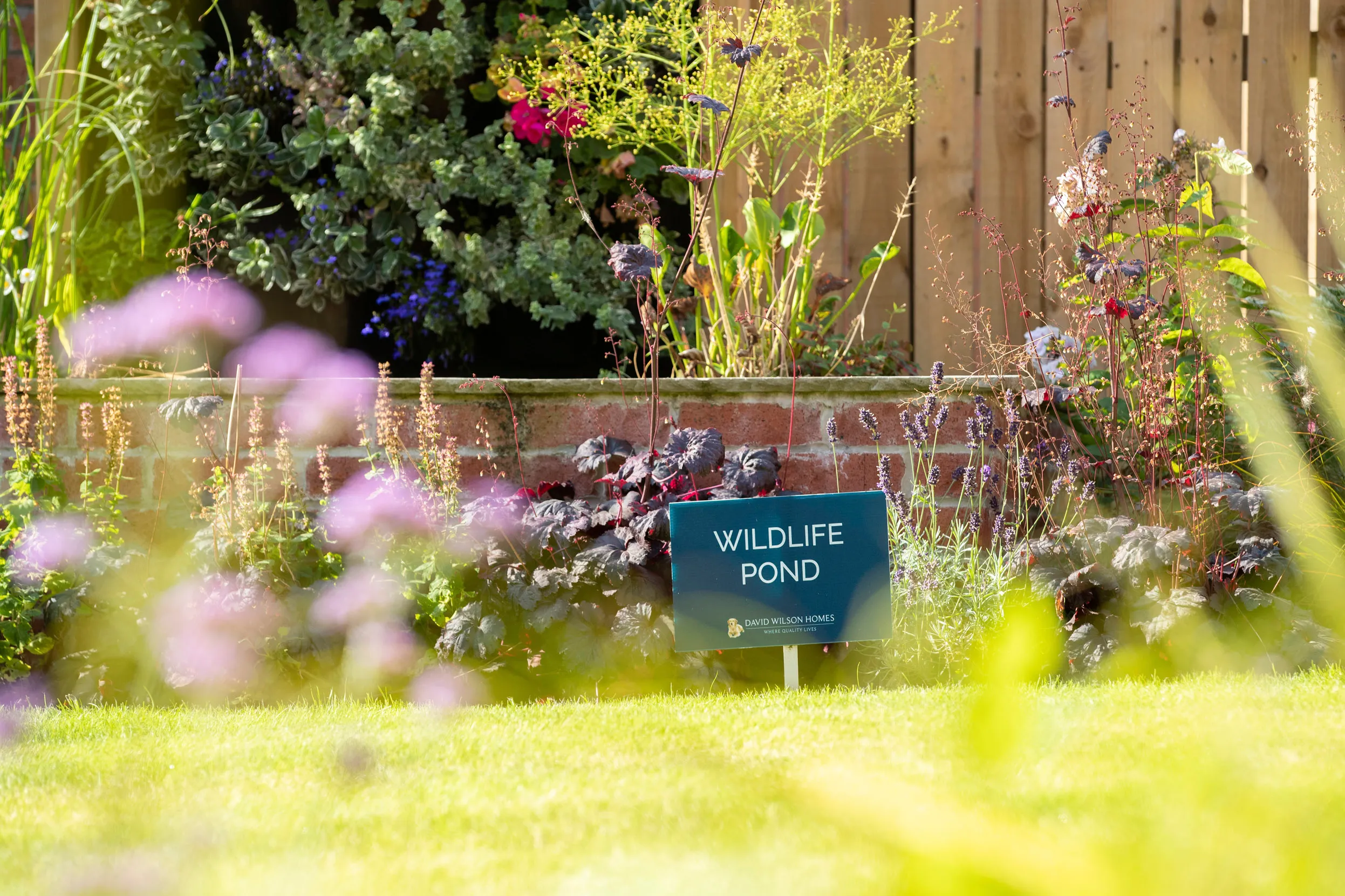 A garden border with a sign reading 'Wildlife Pond'.
