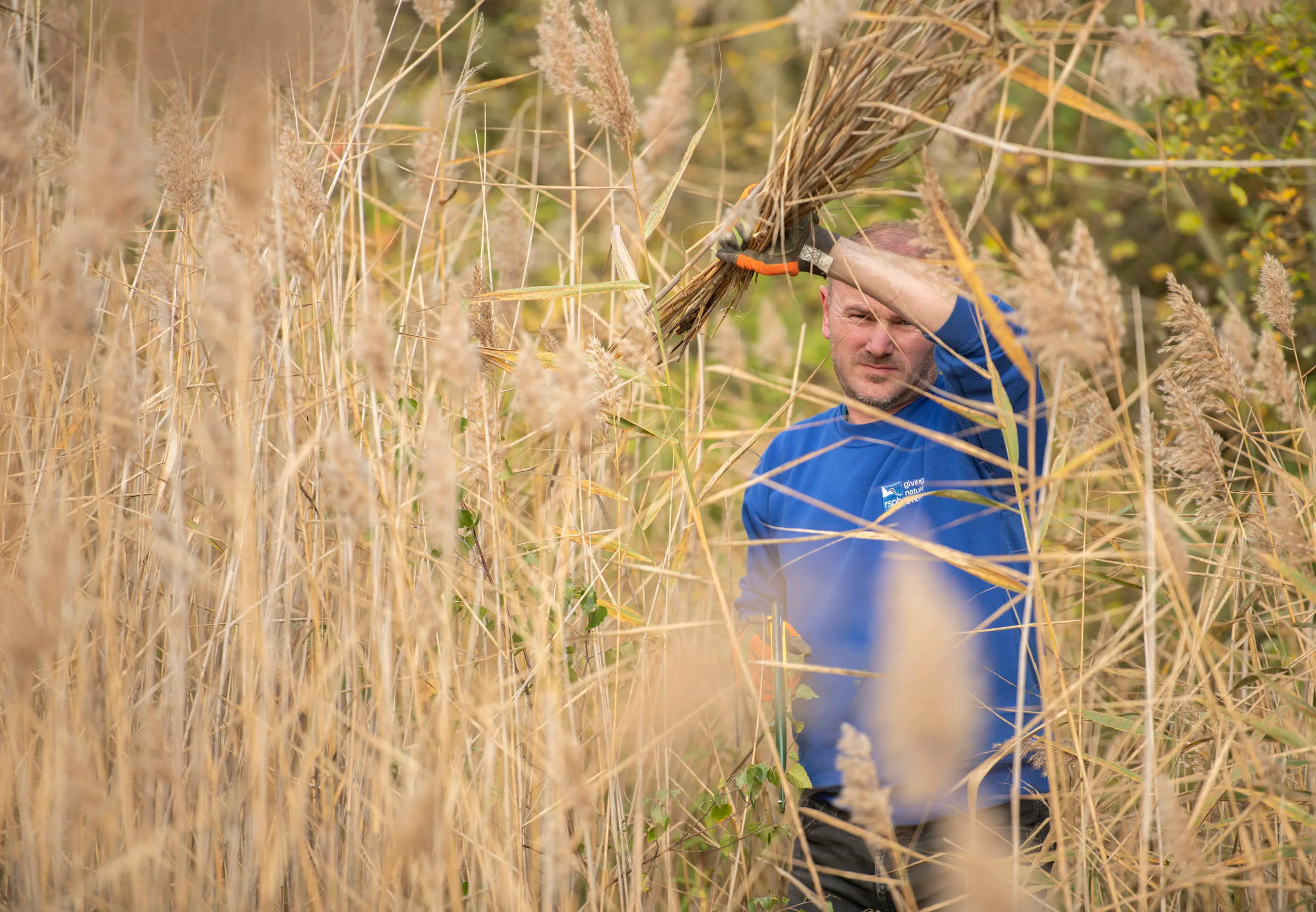 A volunteer stood in long grass holding a clipping to their head.