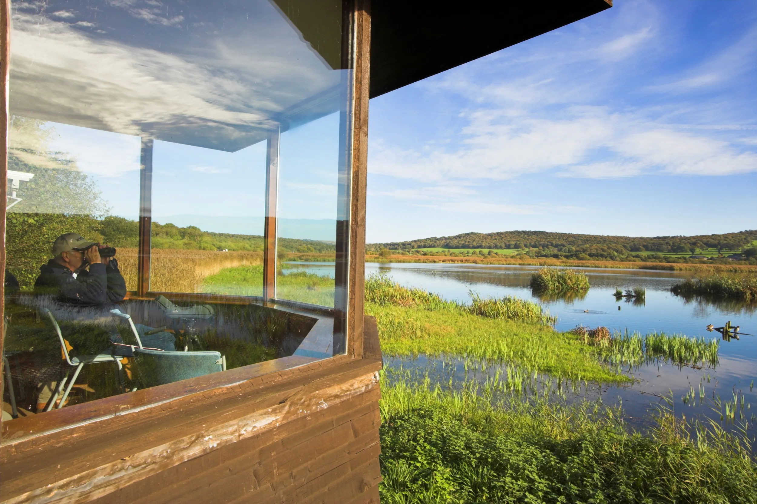 A man viewing RSPB Leighton Moss nature reserve through binoculars from the hide. 