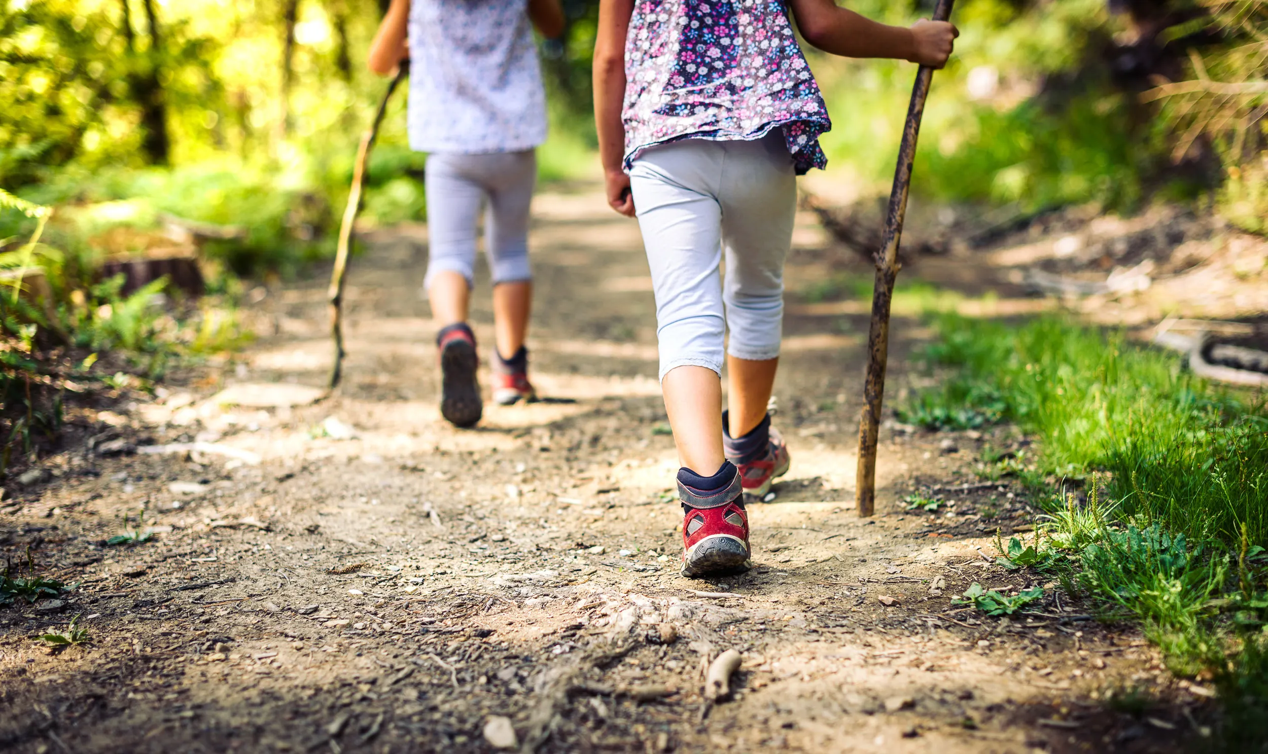 Two children in walking boots, walking away from the lens along a woodland dirt track, each holding a branch to use as a hiking pole.
