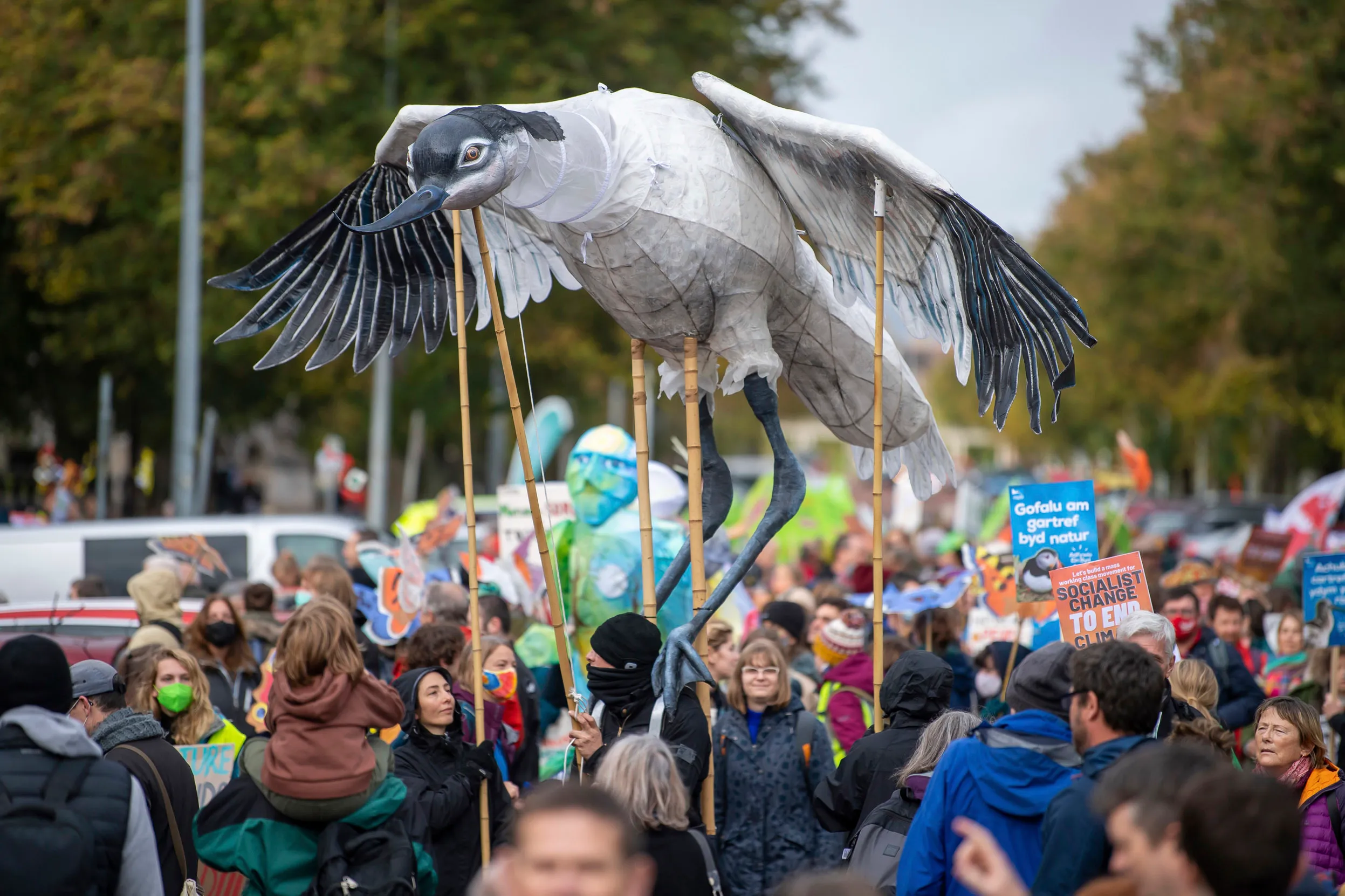 A crowd of people, marching, holding a large Avocet puppet above them using bamboo poles.