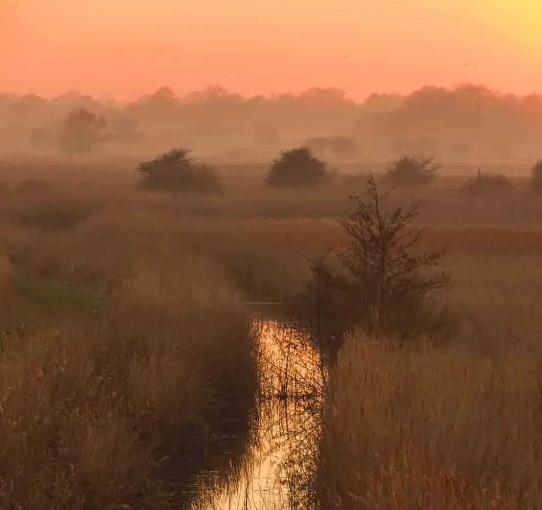 A stream meanders through the reedbeds at RSPB Minsmere with a dramatic sunset sky overhead. 