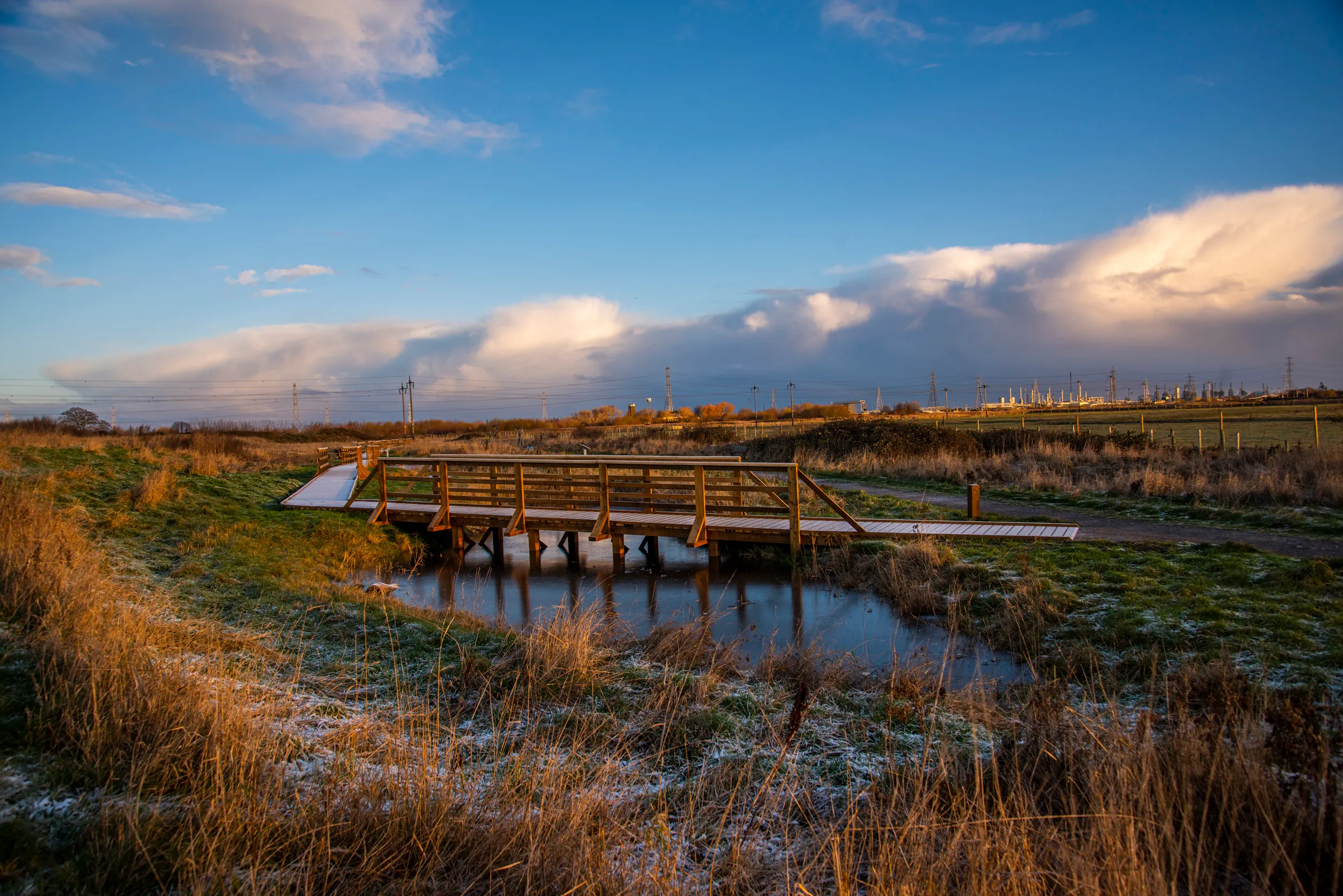 A view across the frosty Saltholme ponds in winter