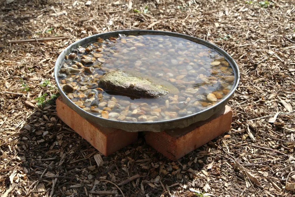 A bird bath comprised of an upturned metal dustbin lid, sat on four bricks, filled with a layer of pebbles and rocks, topped up with water.